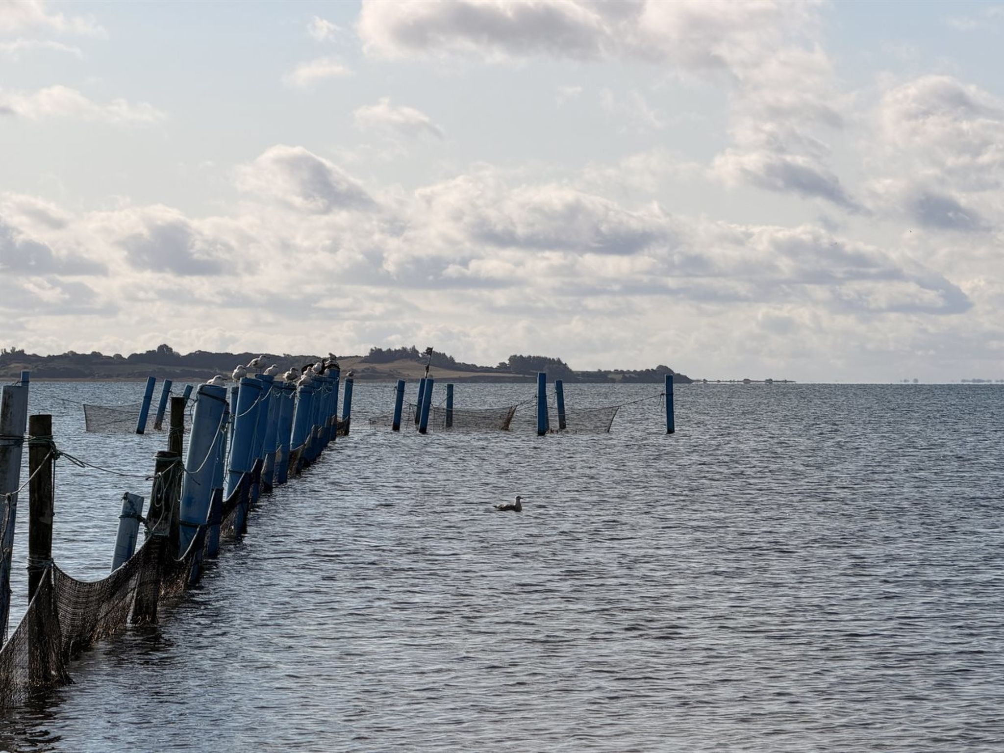 "Harri" - 400m from the sea - Outside