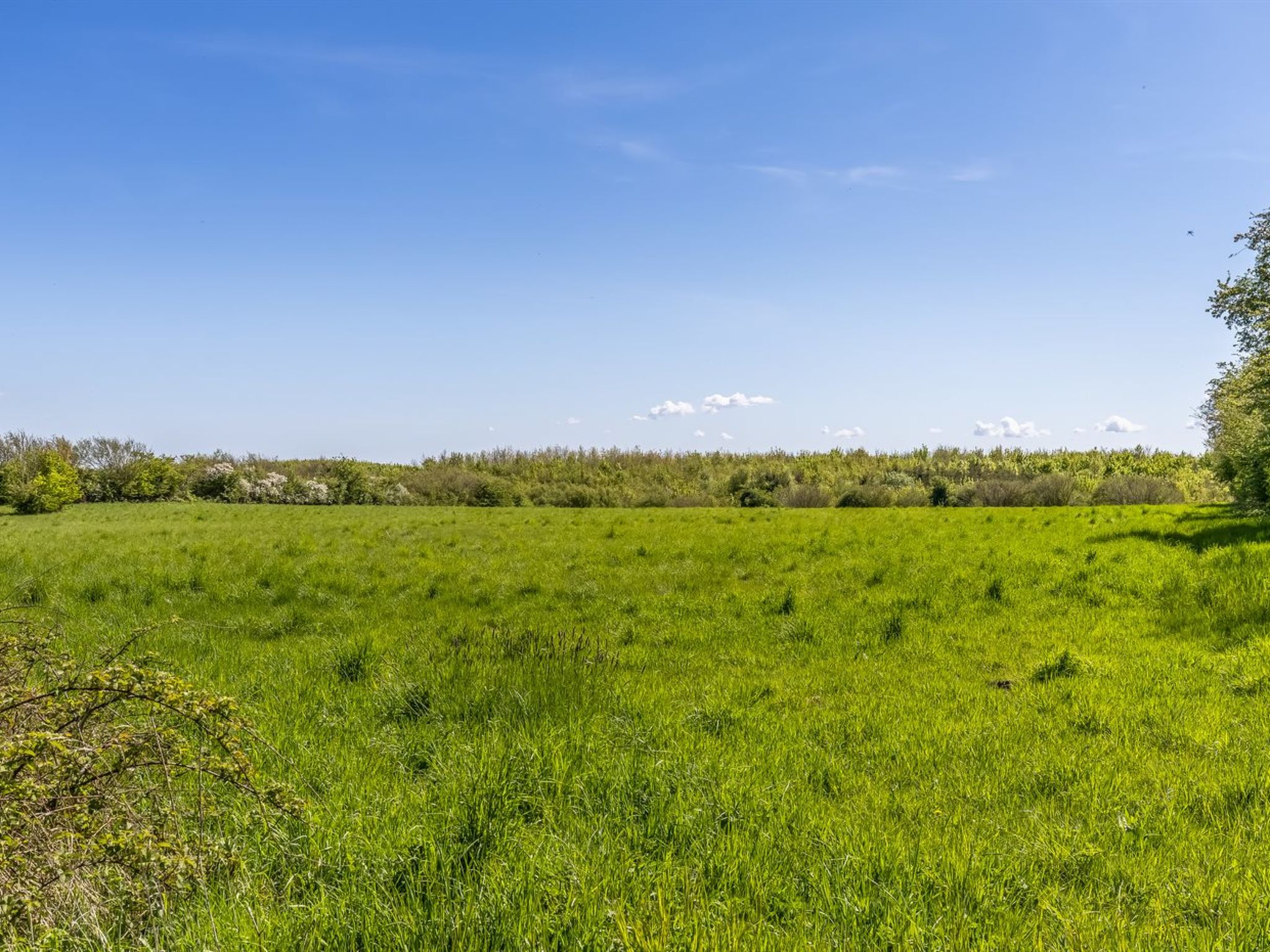 "Susianna" - 550m from the sea - Buiten