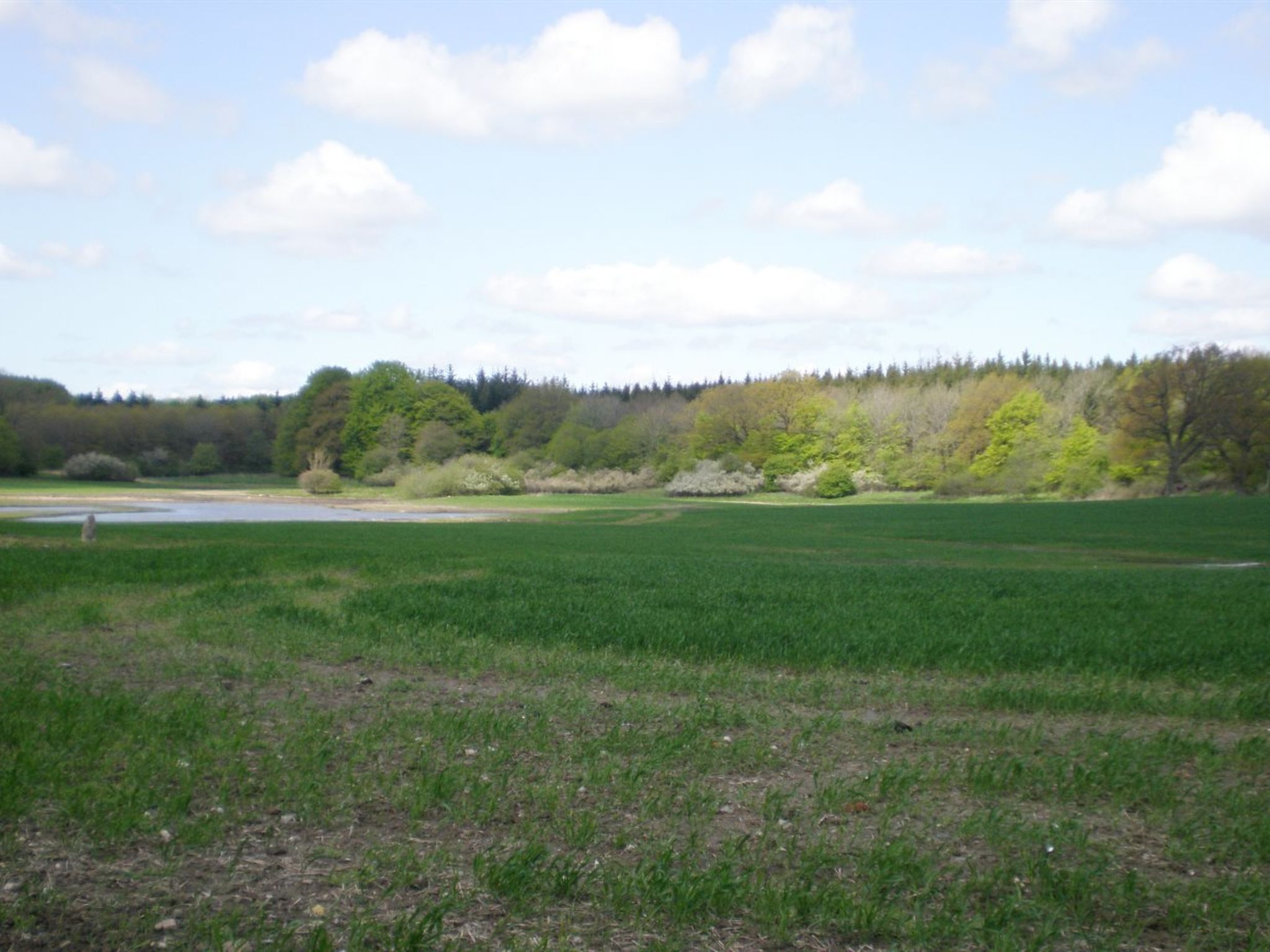 "Thia" - 4km to the fjord - Buiten