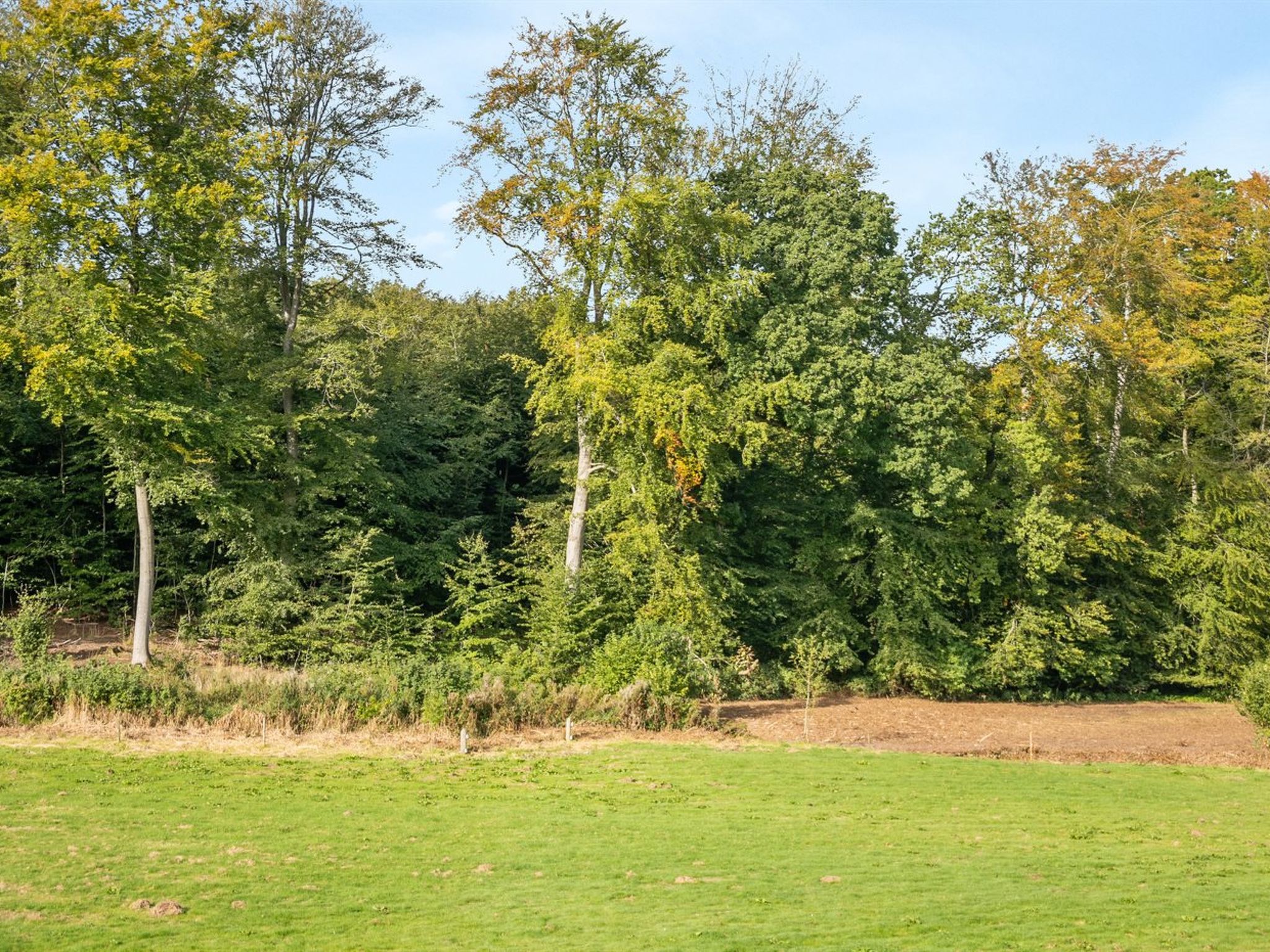 "Rosa" - 300m from the sea - Buiten