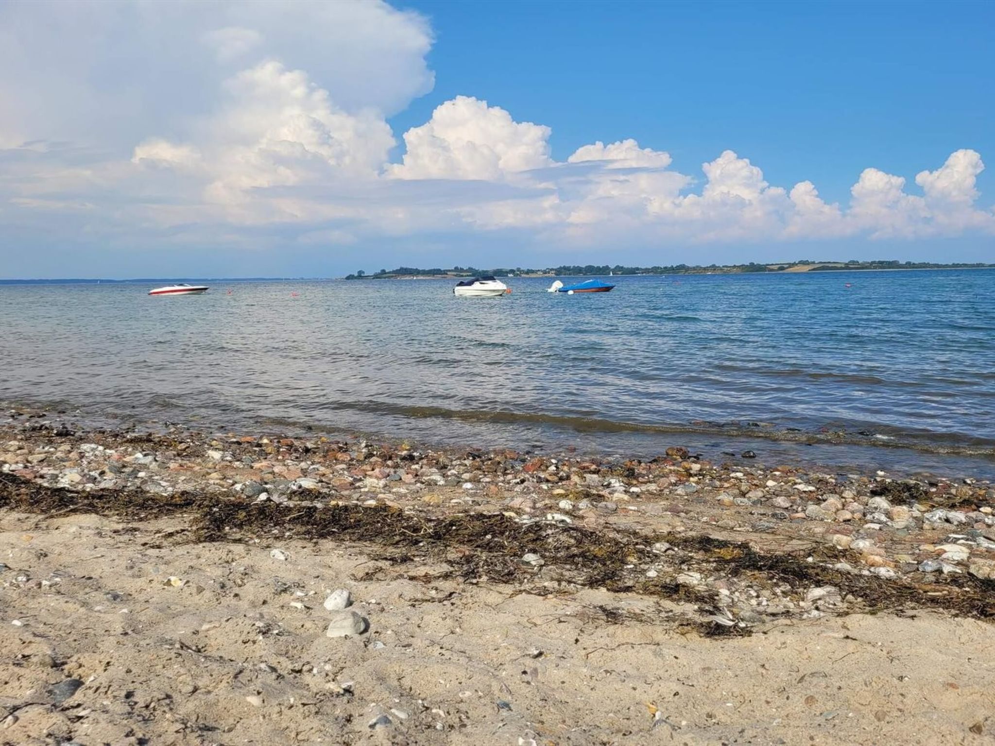 "Isbiorn" - 300m from the sea - Buiten