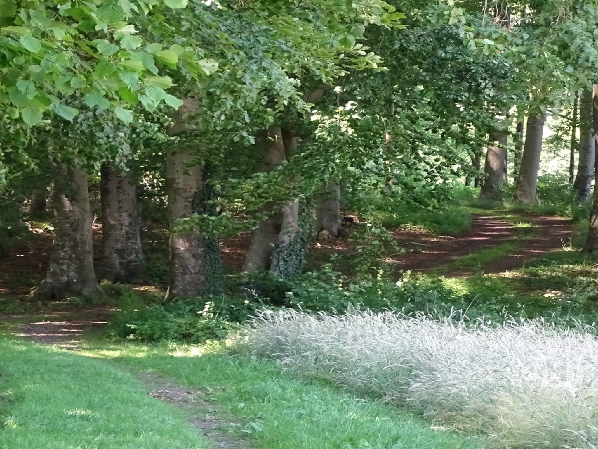 "Veselin" - 100m from the sea - Dehors