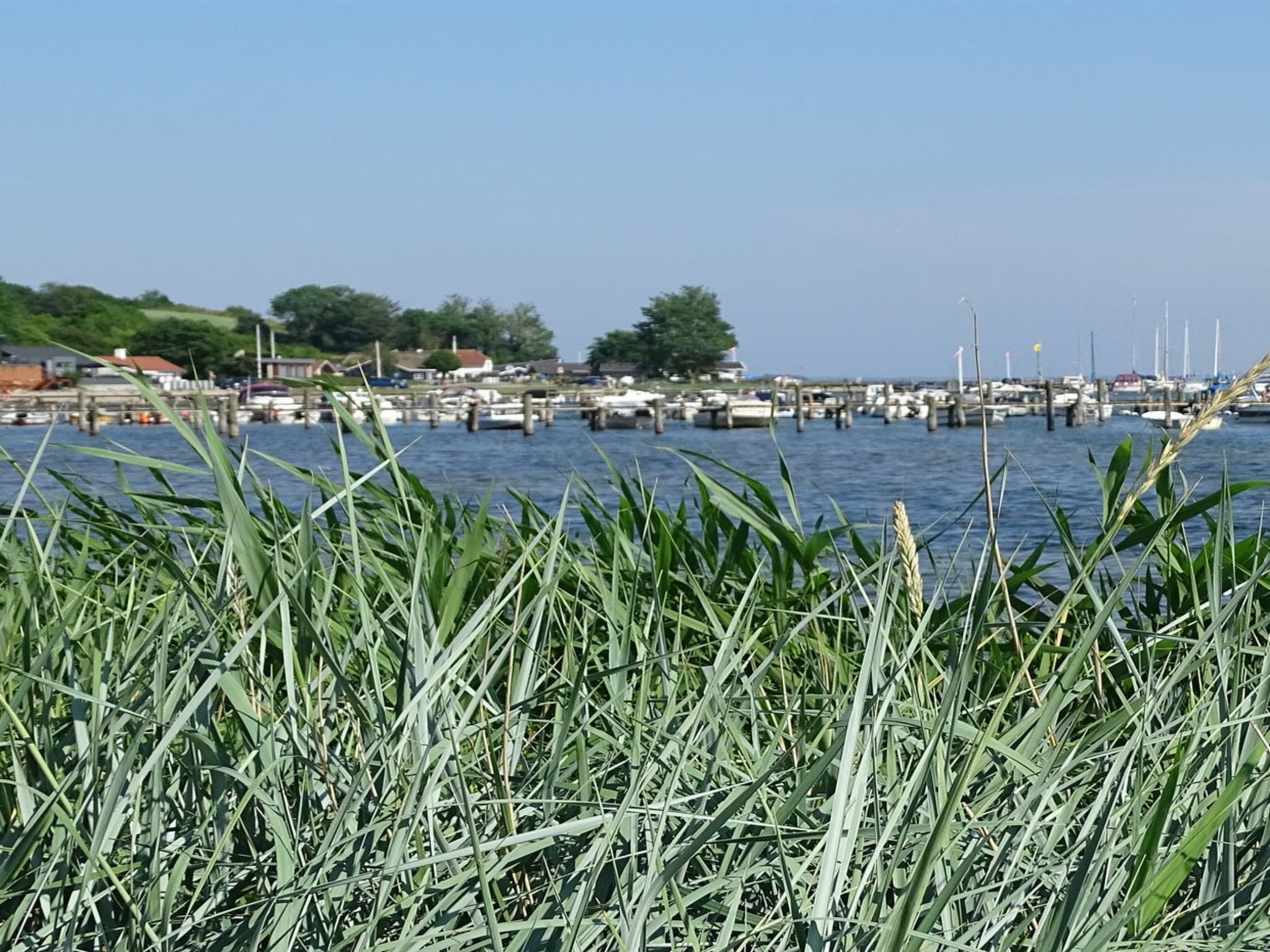 "Veselin" - 100m from the sea - Dehors