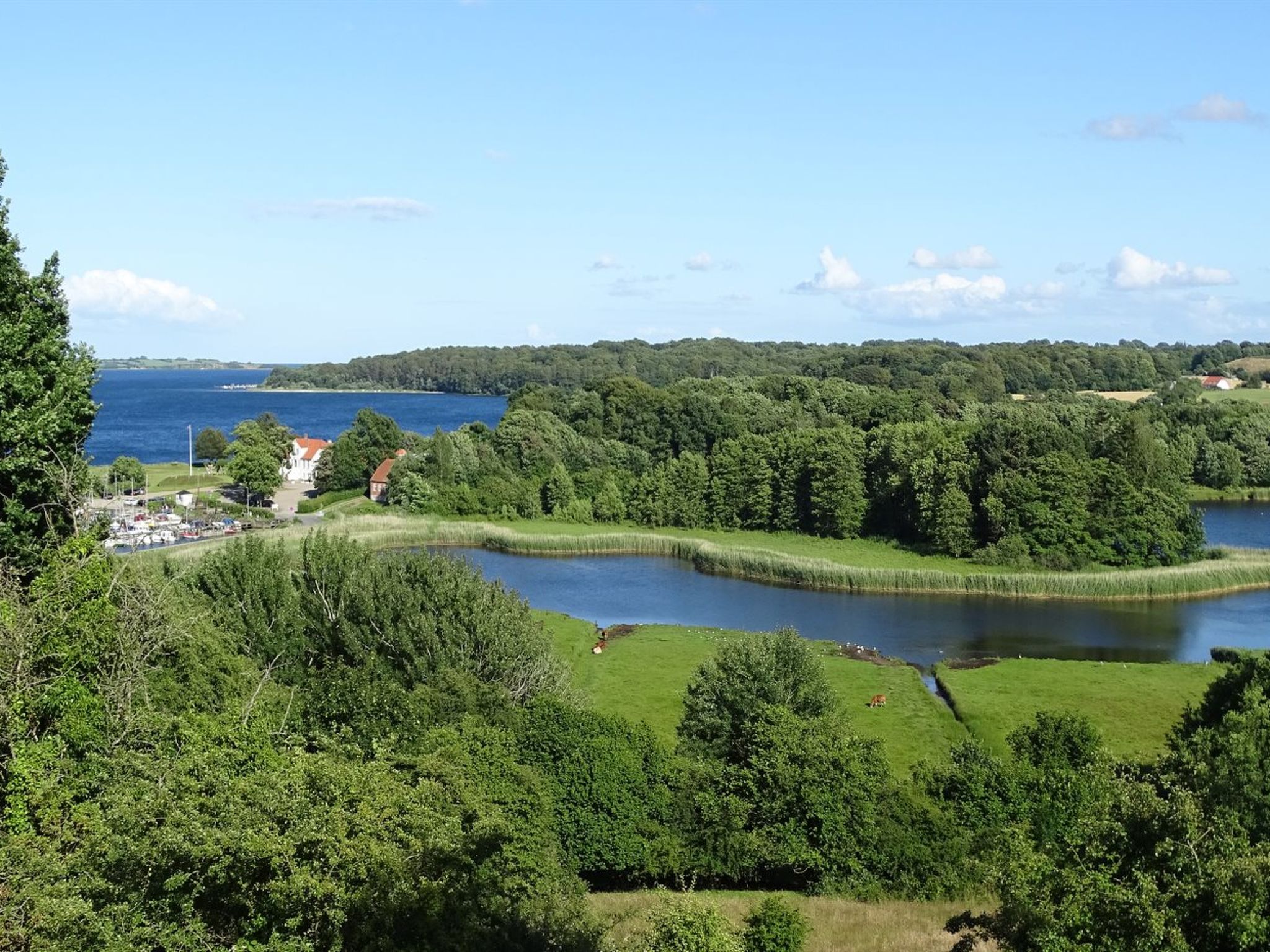 "Veselin" - 100m from the sea - Dehors