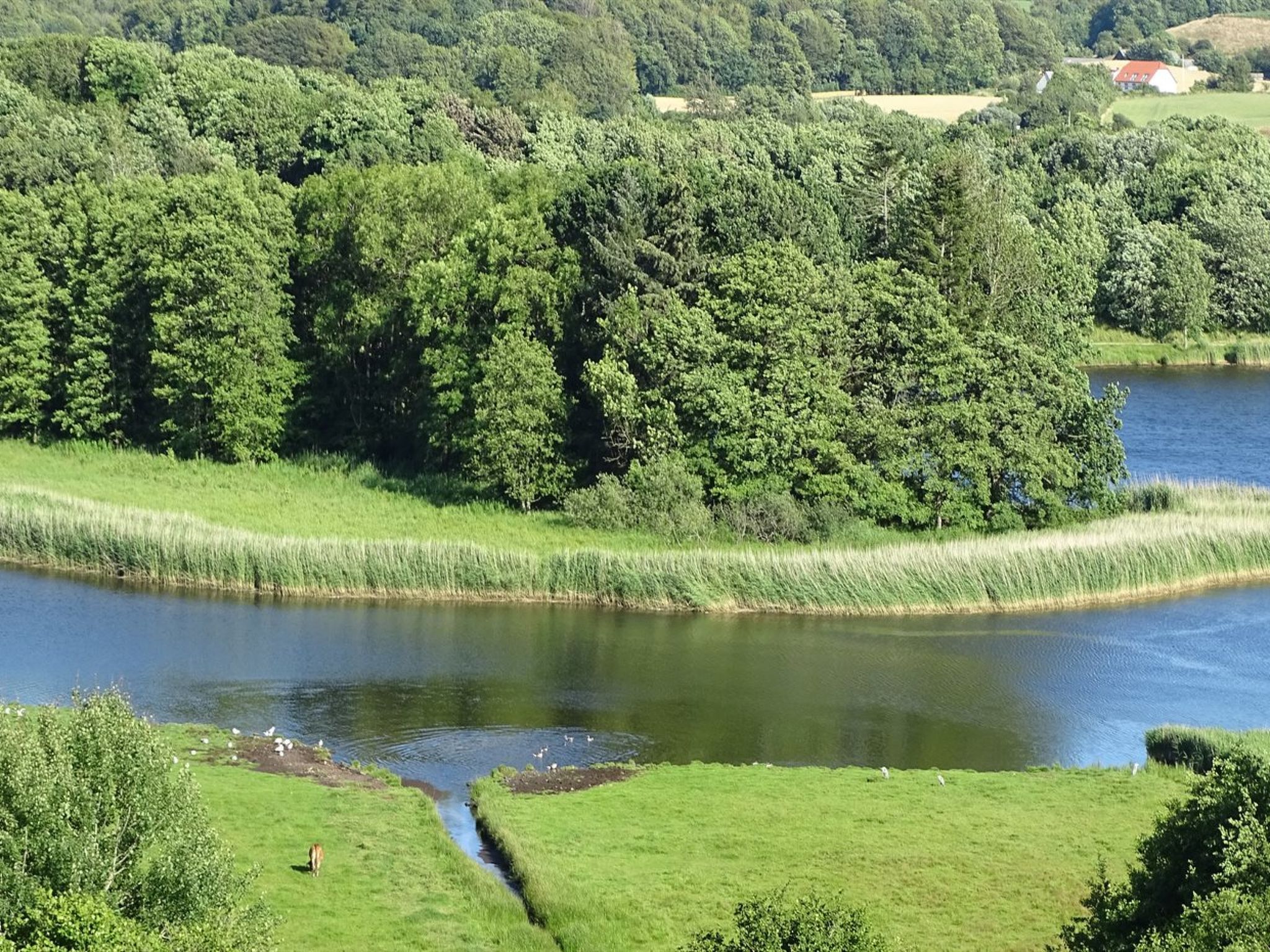 "Veselin" - 100m from the sea - Dehors