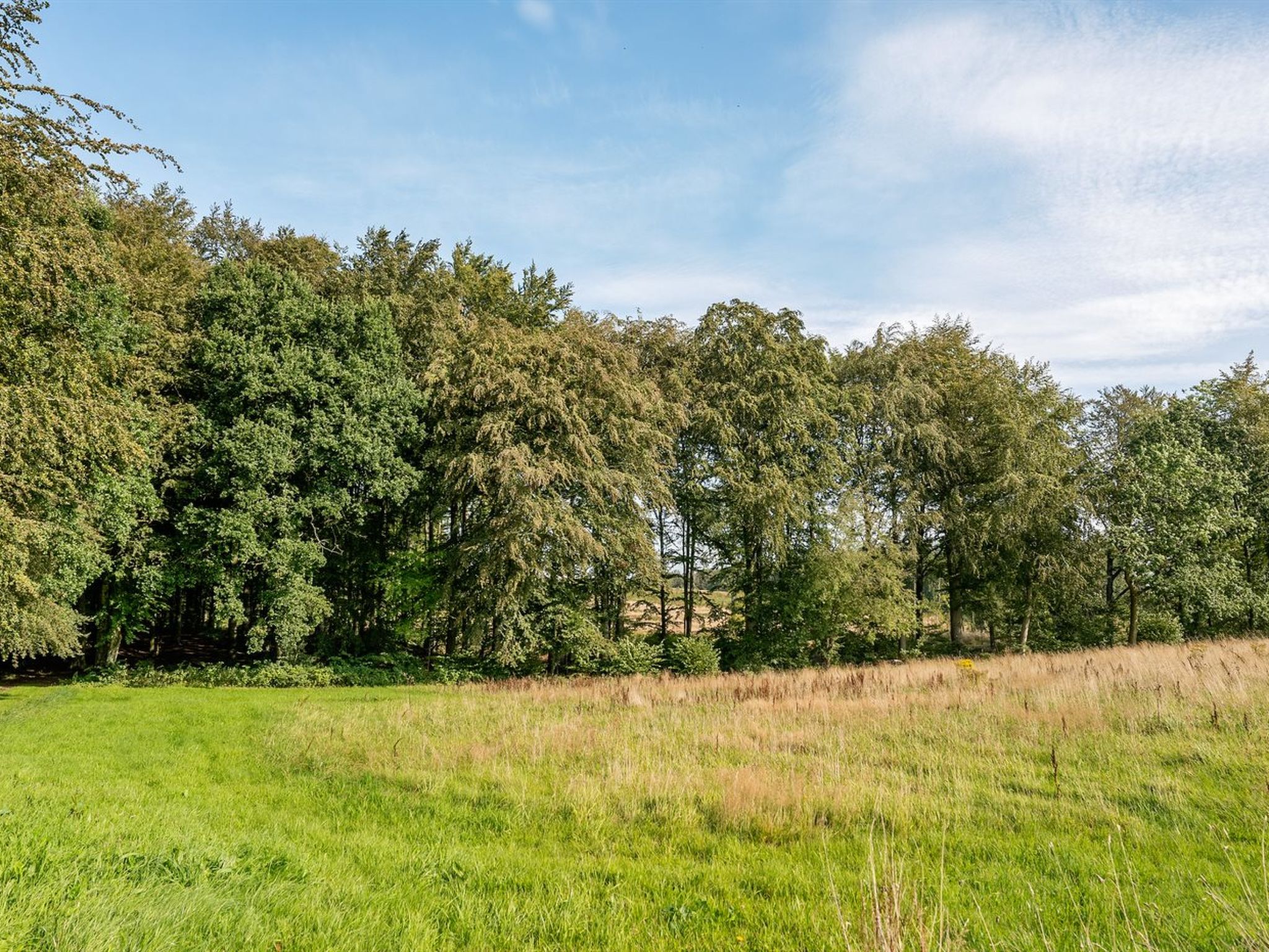 "Gjurgja" - 100m from the sea - Buiten