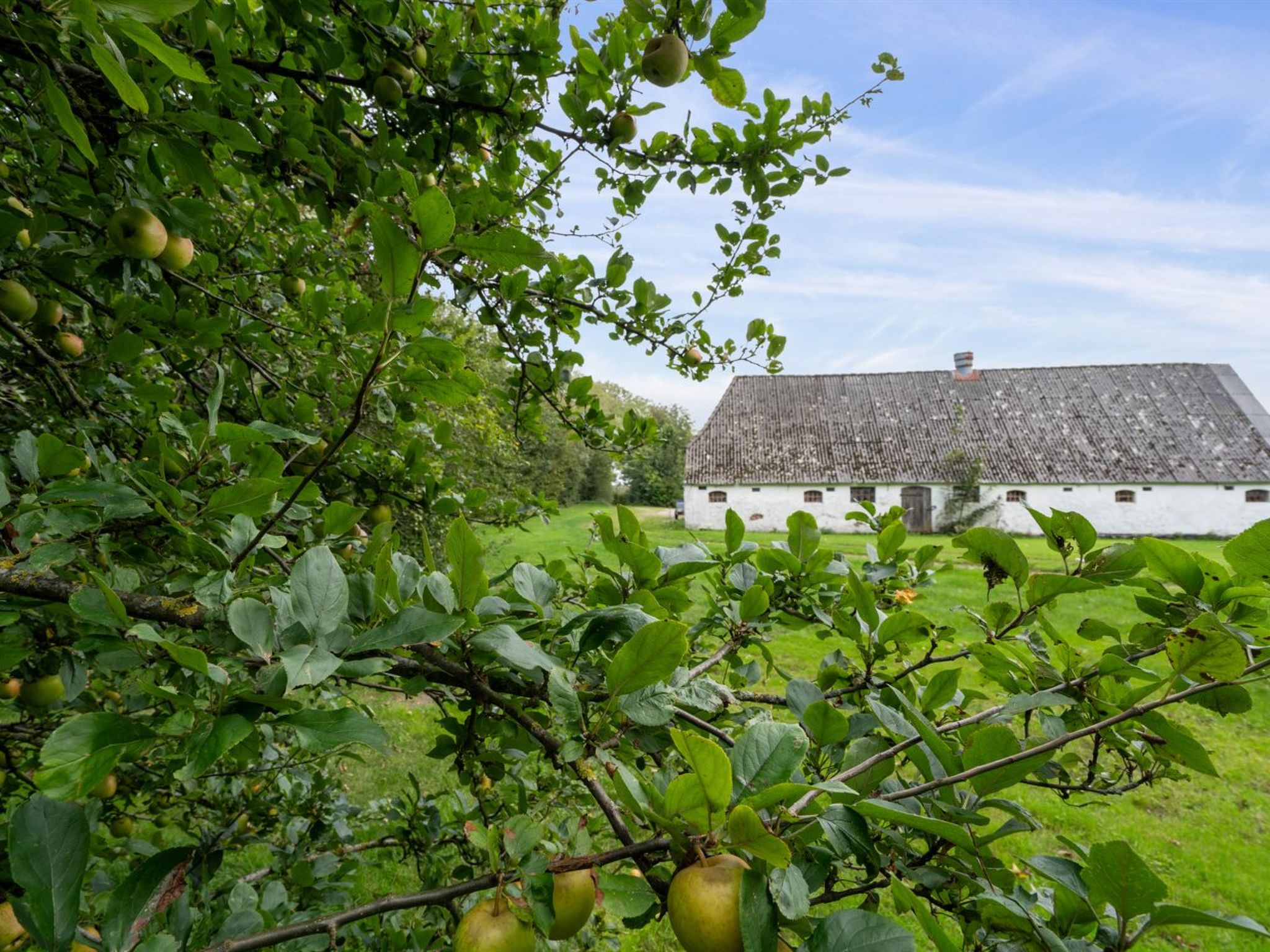 "Landuin" - 30km from the sea - Buiten