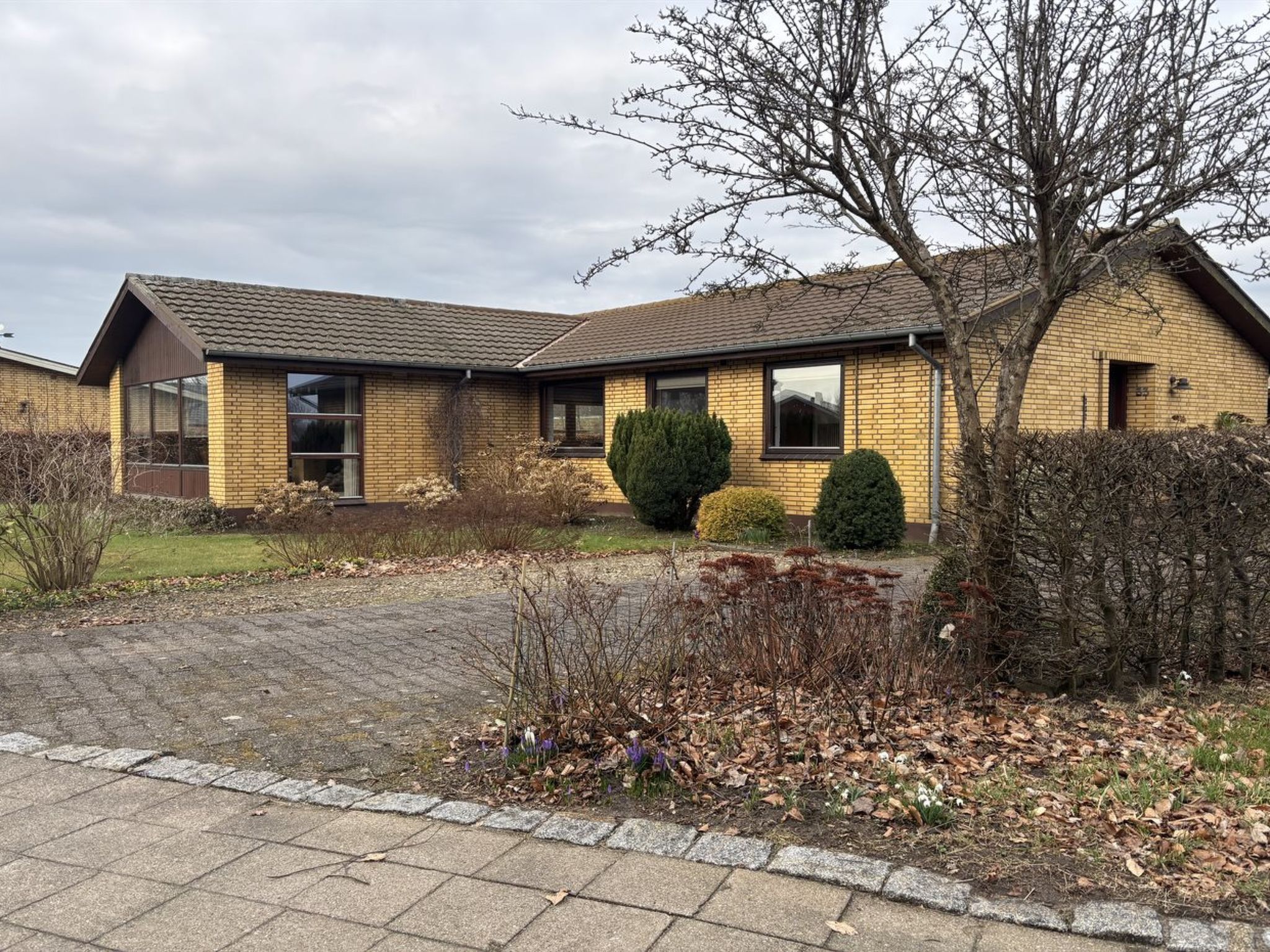 Ferienhaus in Løgumkloster (Dänemark) und 2 Hunde erlaubt