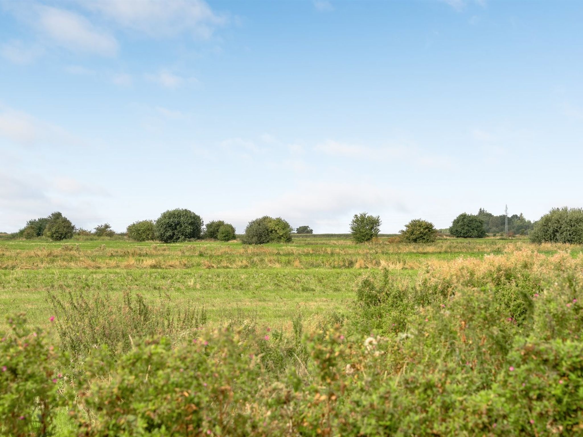 "Ewelina" - 15km from the sea - Buiten