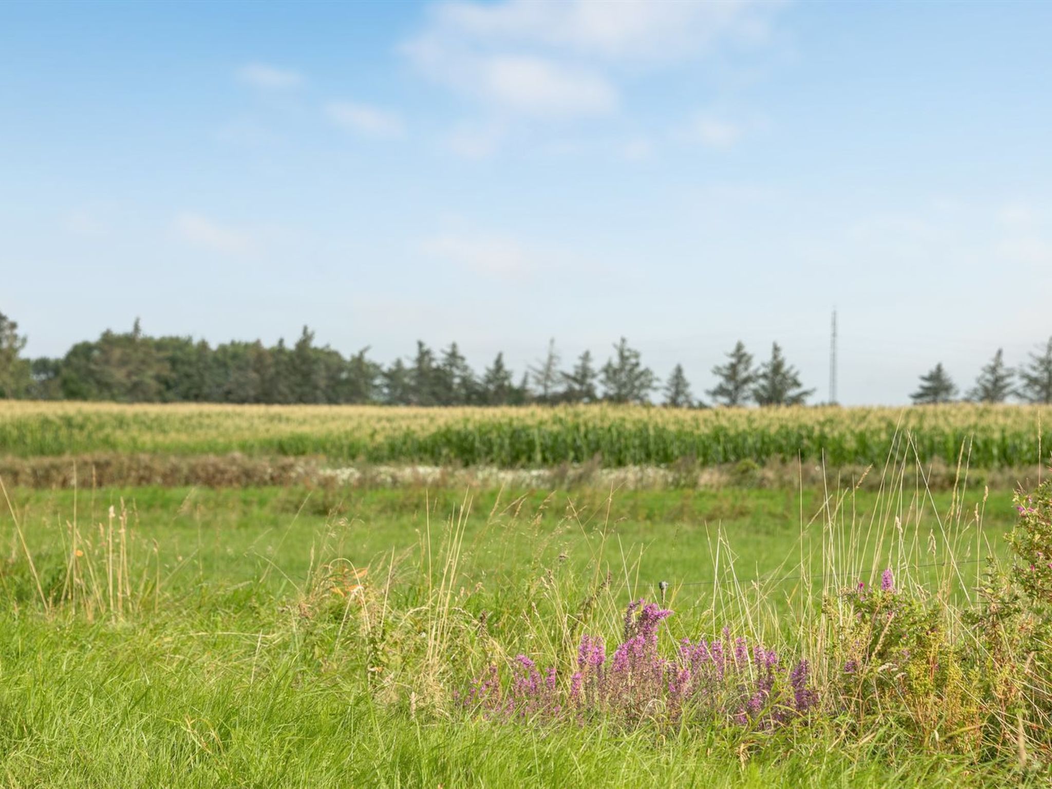 "Ewelina" - 15km from the sea - Buiten