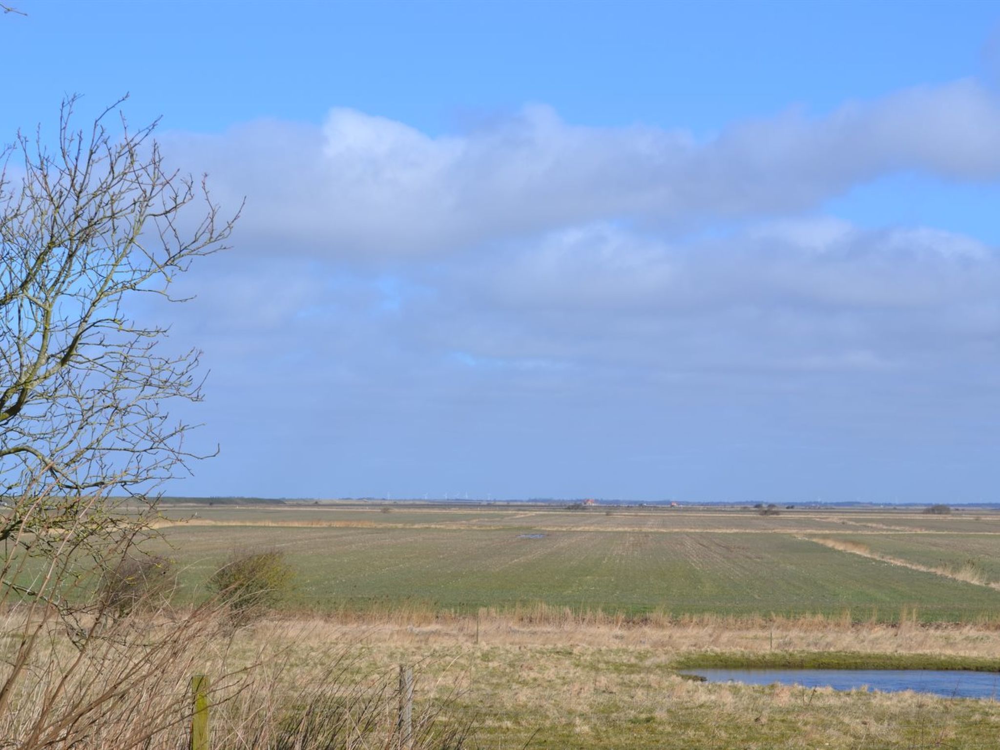 "Arik" - 700m from the sea-Draußen