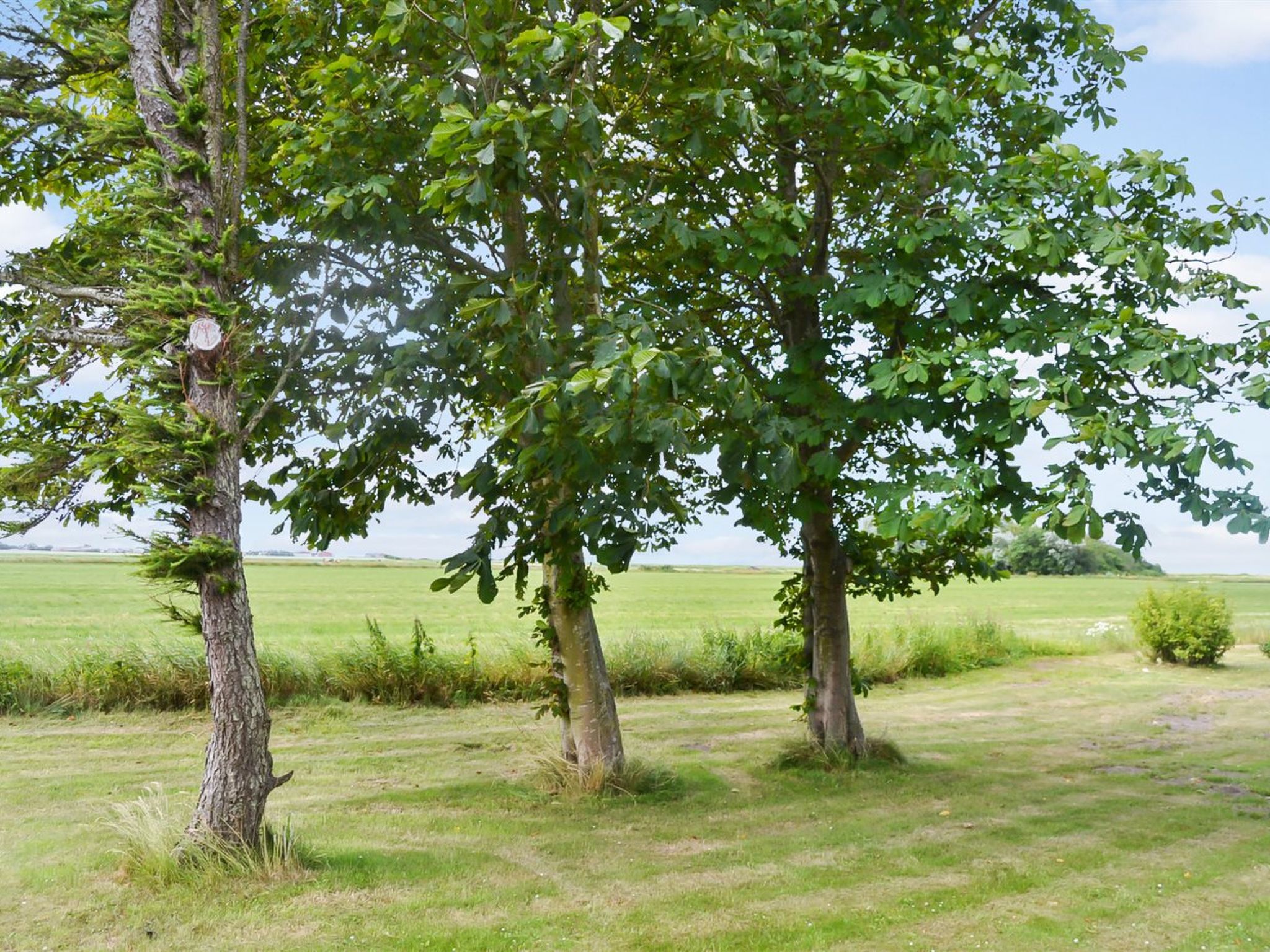"Juuso" - 20km from the sea - Outside