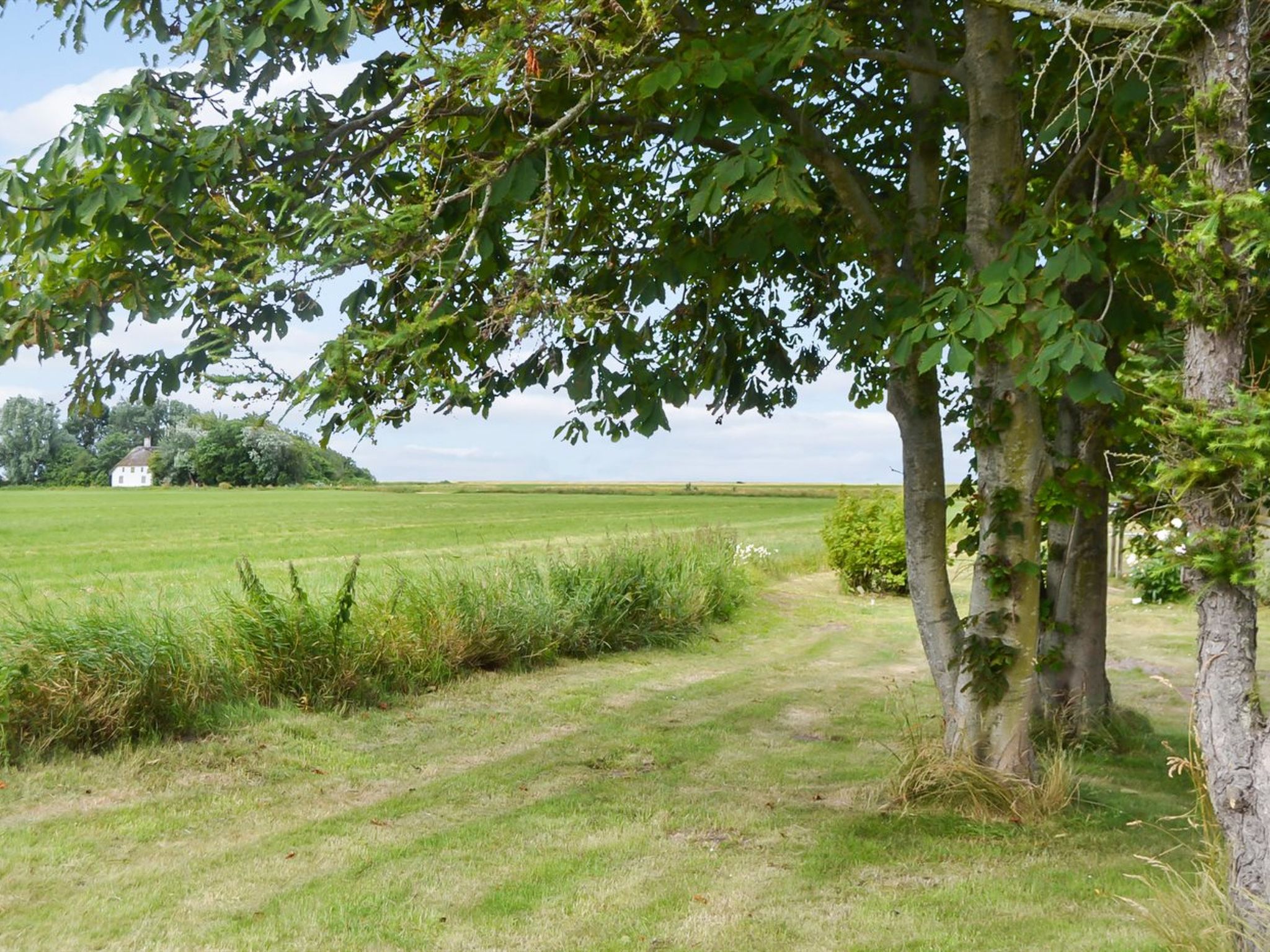 "Juuso" - 20km from the sea - Outside