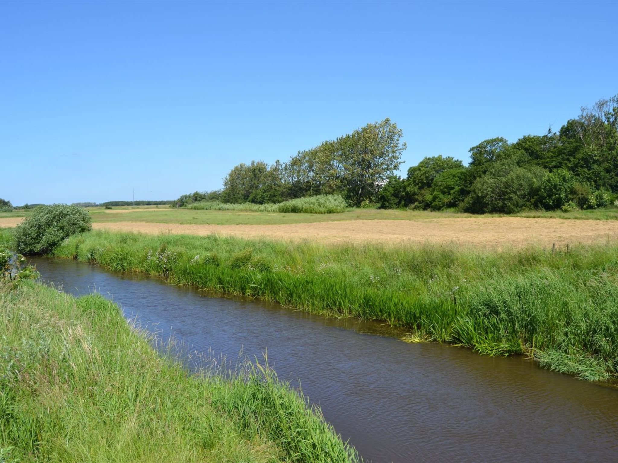 "Herman" - 22km from the sea