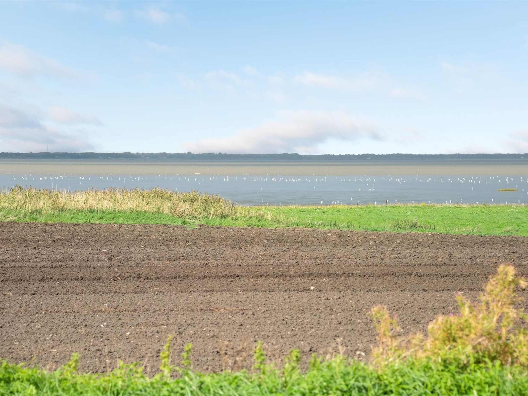 "Kielo" - 10km from the sea - Buiten
