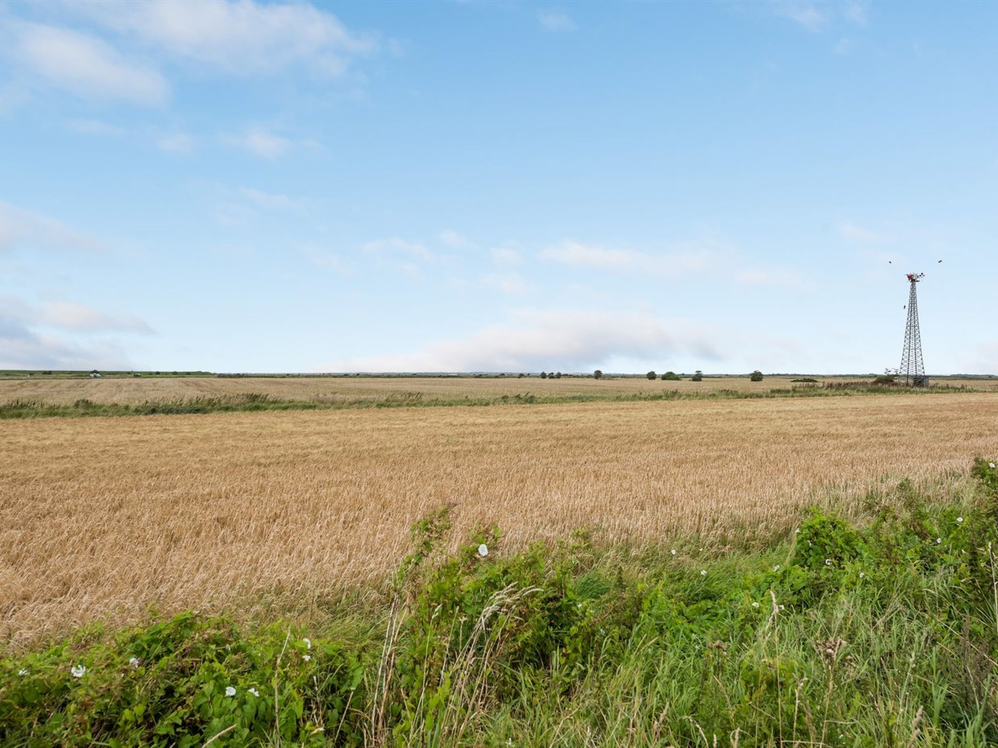 "Clausina" - 600m from the sea - Draußen