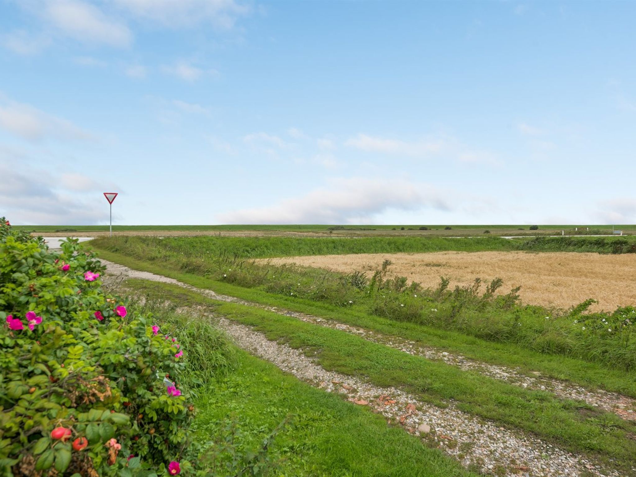 "Clausina" - 600m from the sea - Draußen
