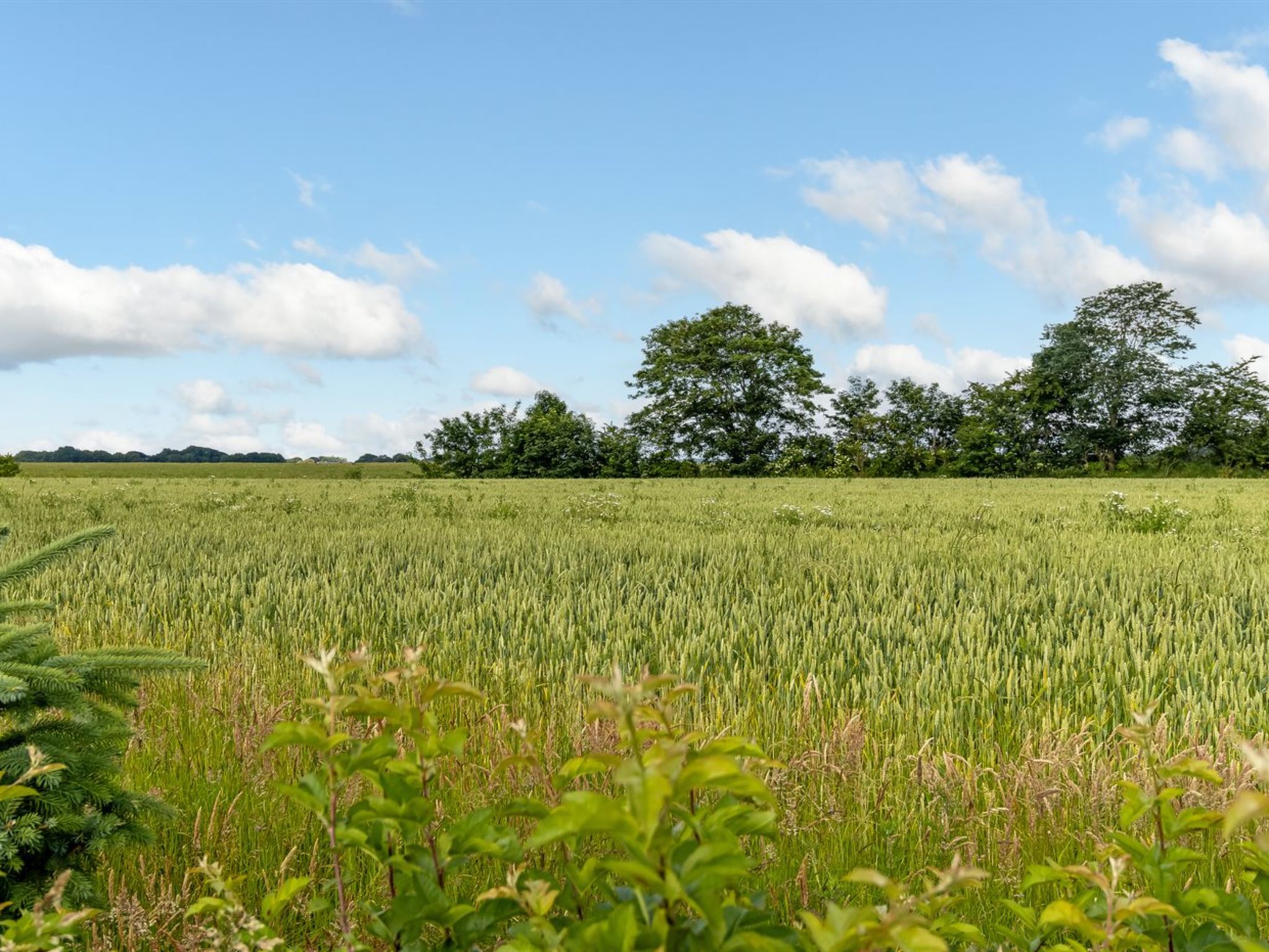 "Thrine" - 24km from the sea-Buiten