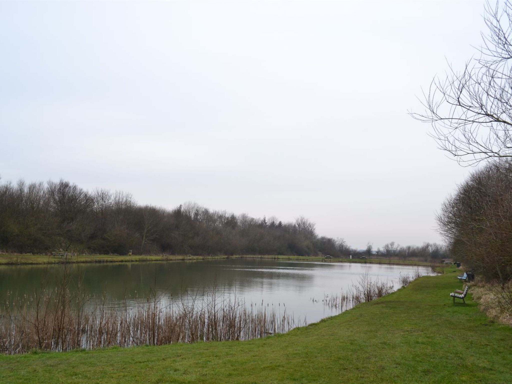 "Thrine" - 24km from the sea - Outside
