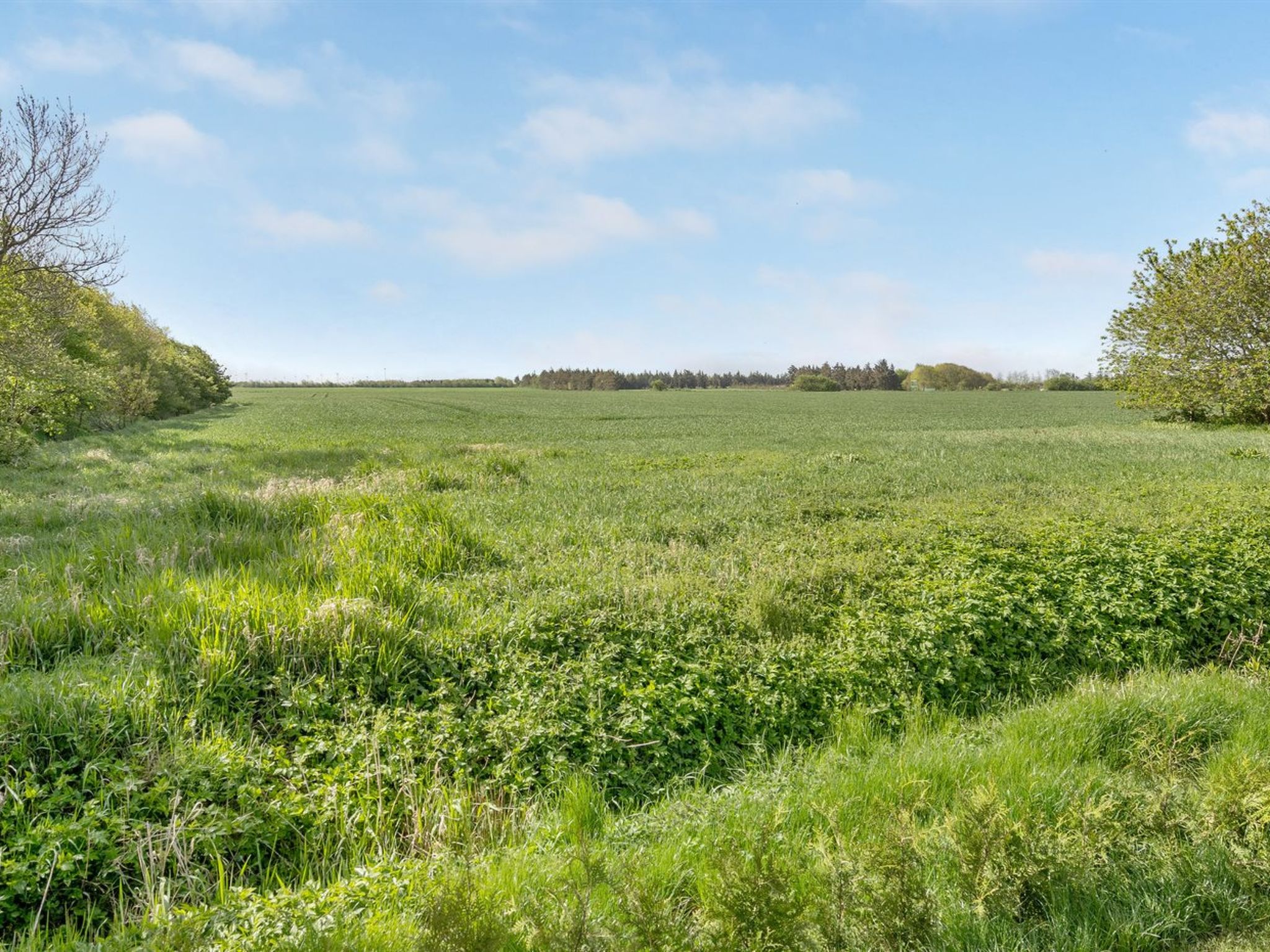 "Aliza" - 14km from the sea