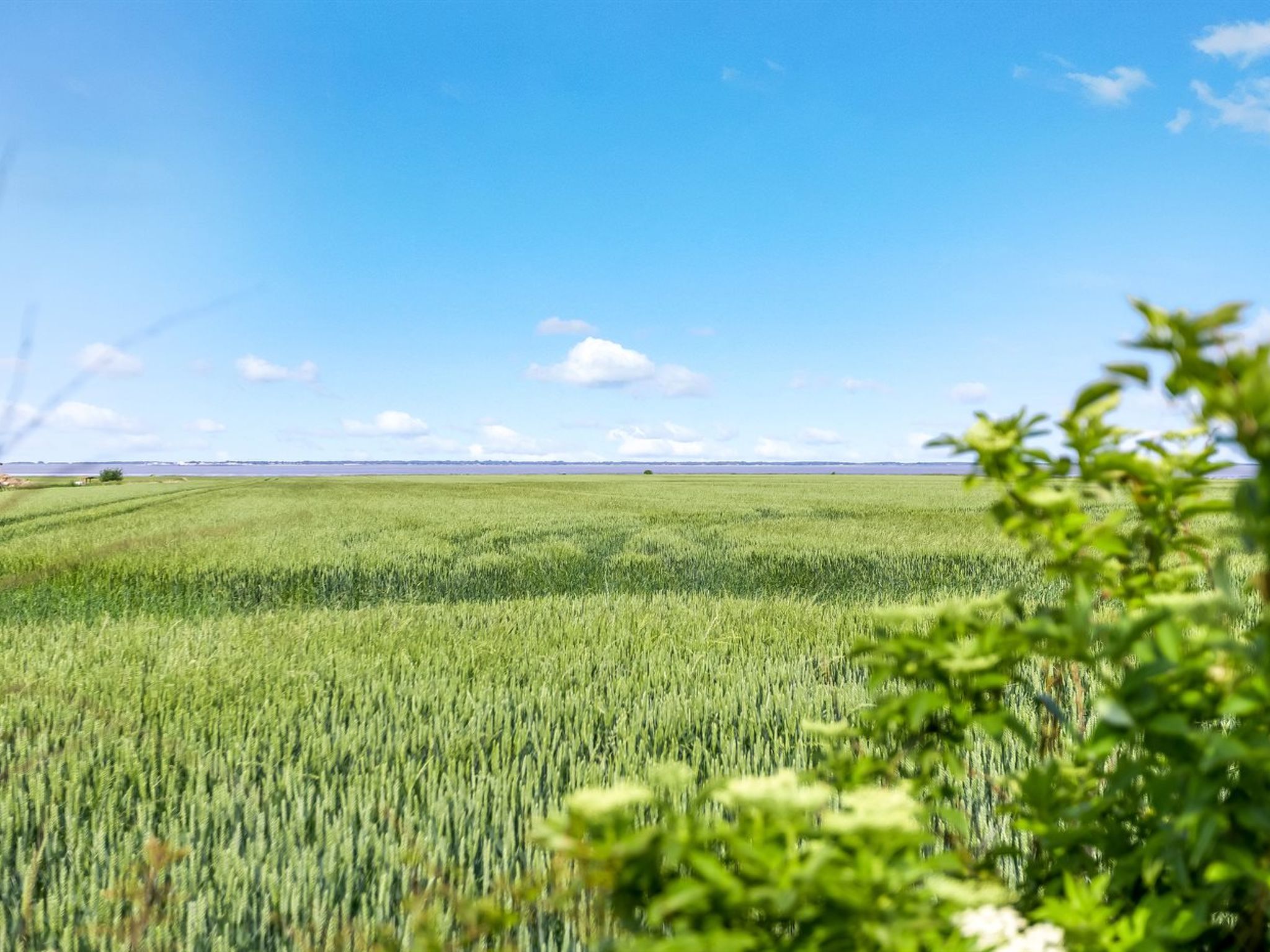 "Freja" - 12km from the sea