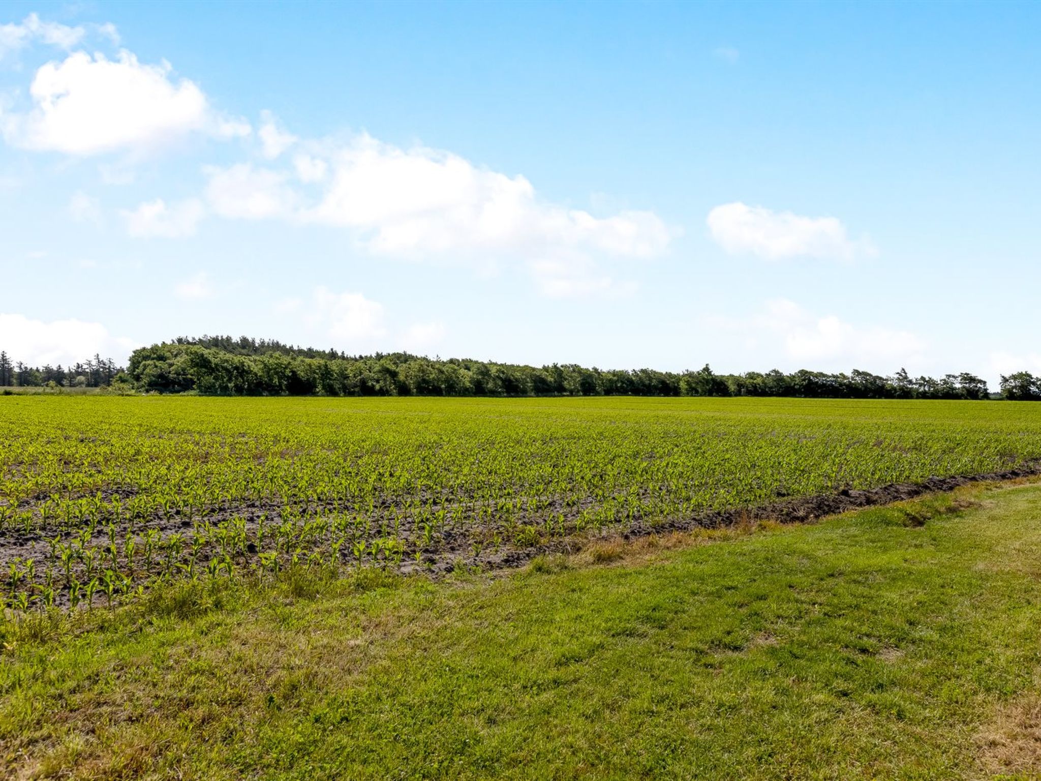 "Rahild" - 10km from the sea - Buiten