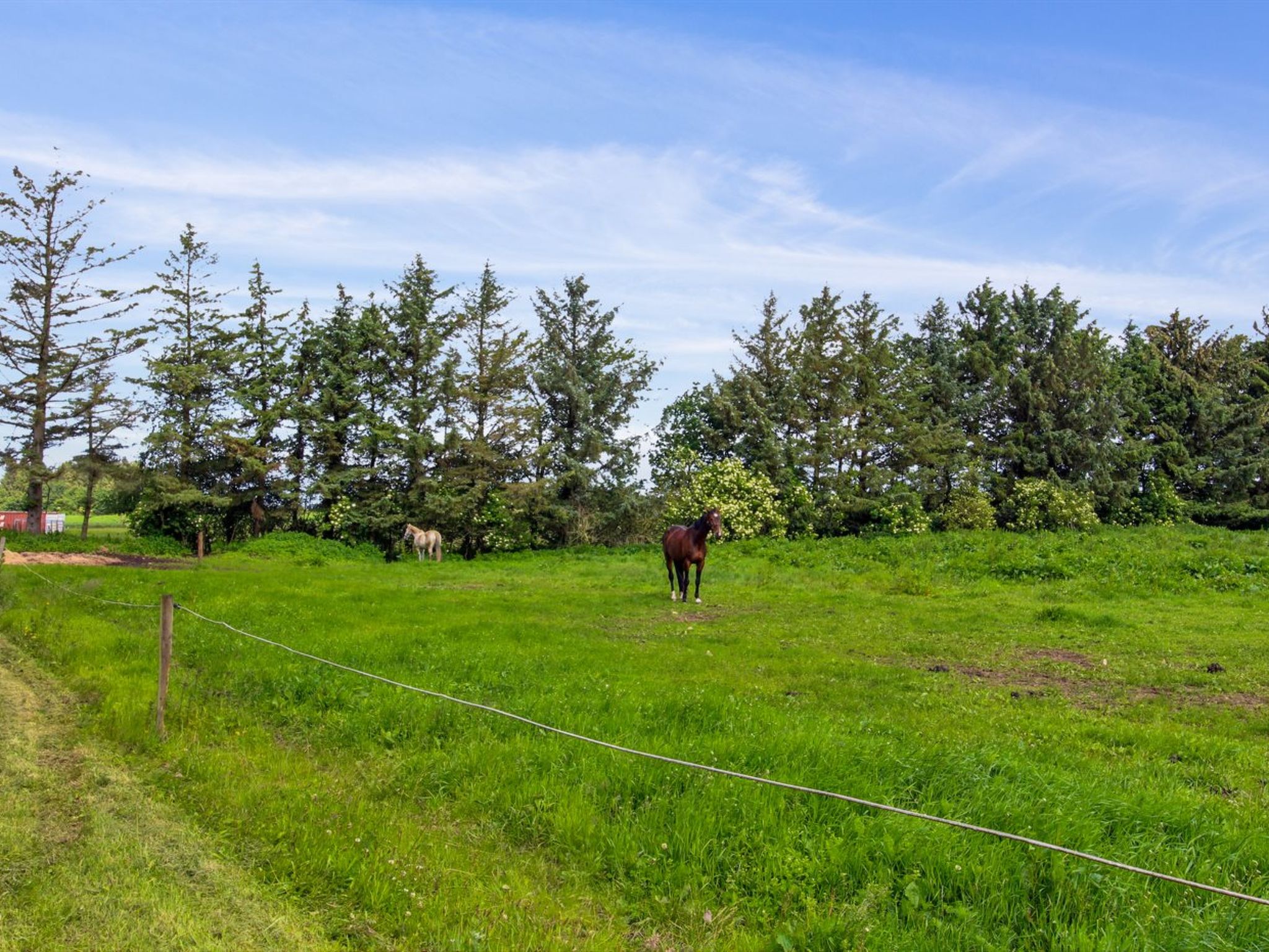 "Josefiina" - 22km from the sea-Buiten