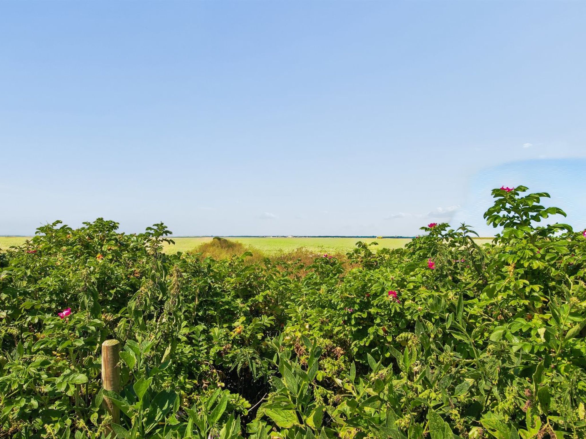 "Milan" - 20km from the sea - Buiten