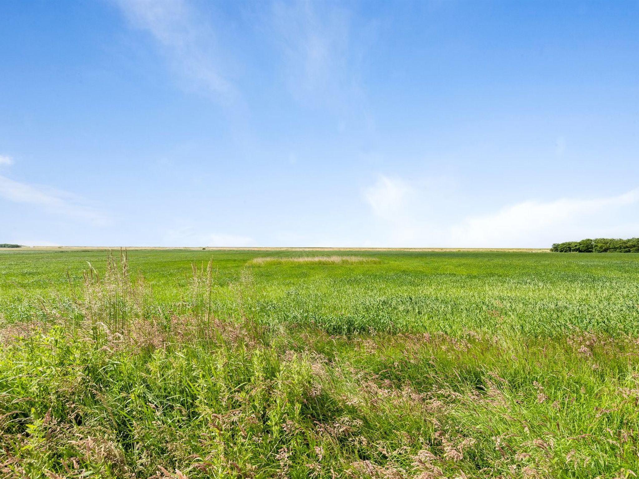 "Thorarin" - 25km from the sea - Buiten