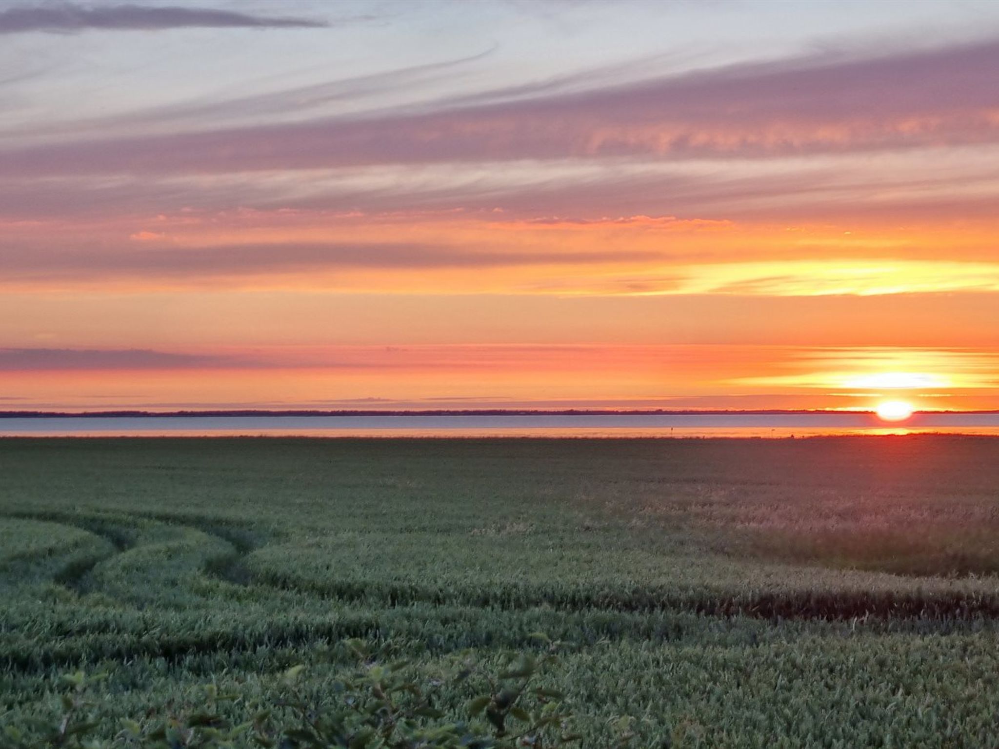 "Spase" - 23km from the sea-Outside