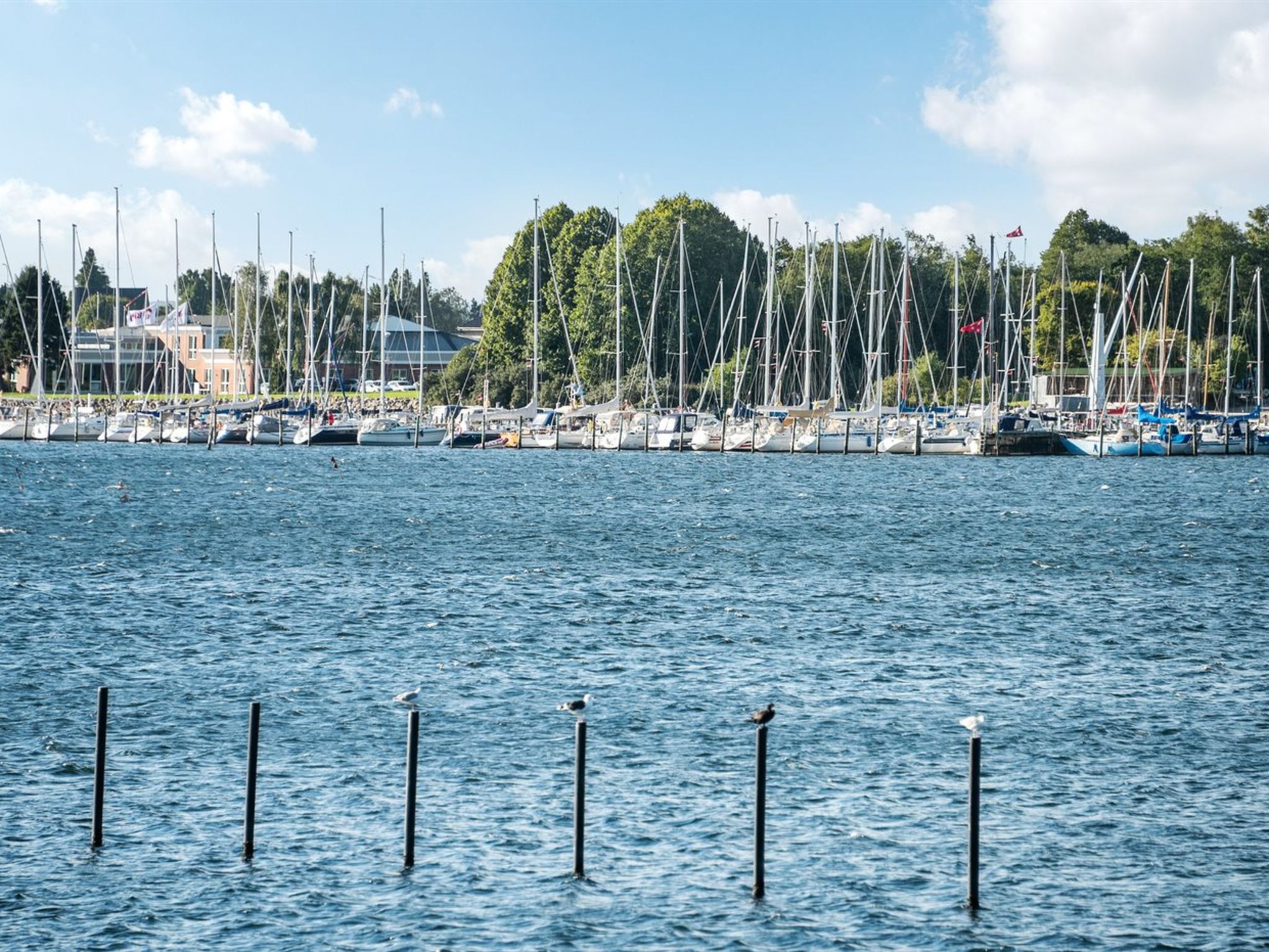 "Joar" - 5m to the fjord - Outside