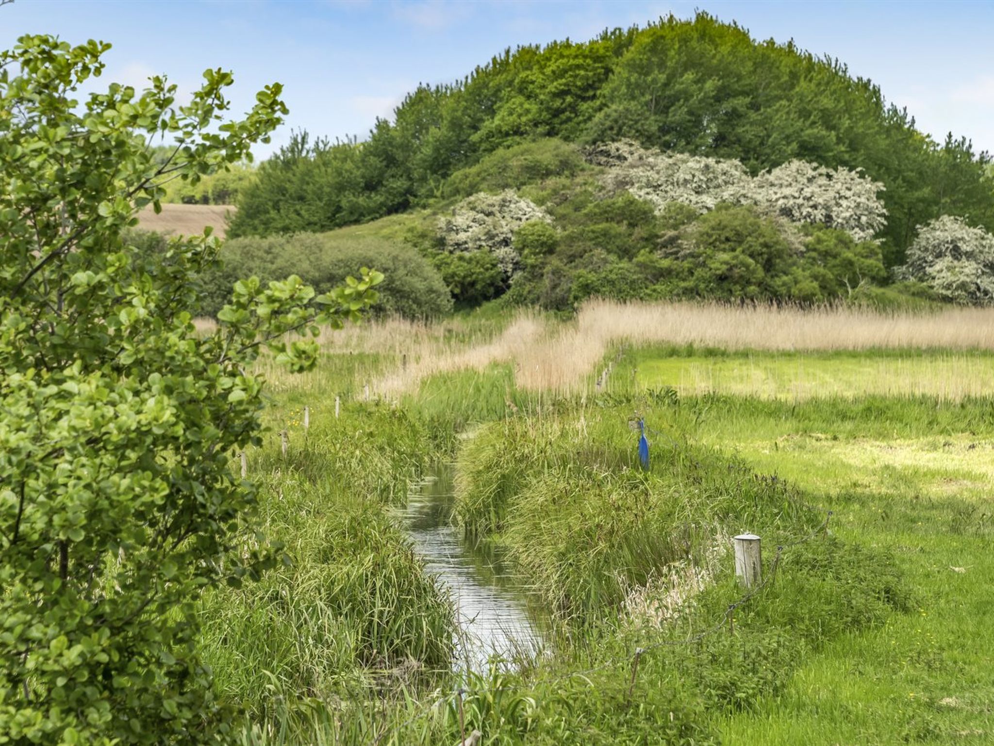 "Sigbritt" - 100m from the sea - Buiten