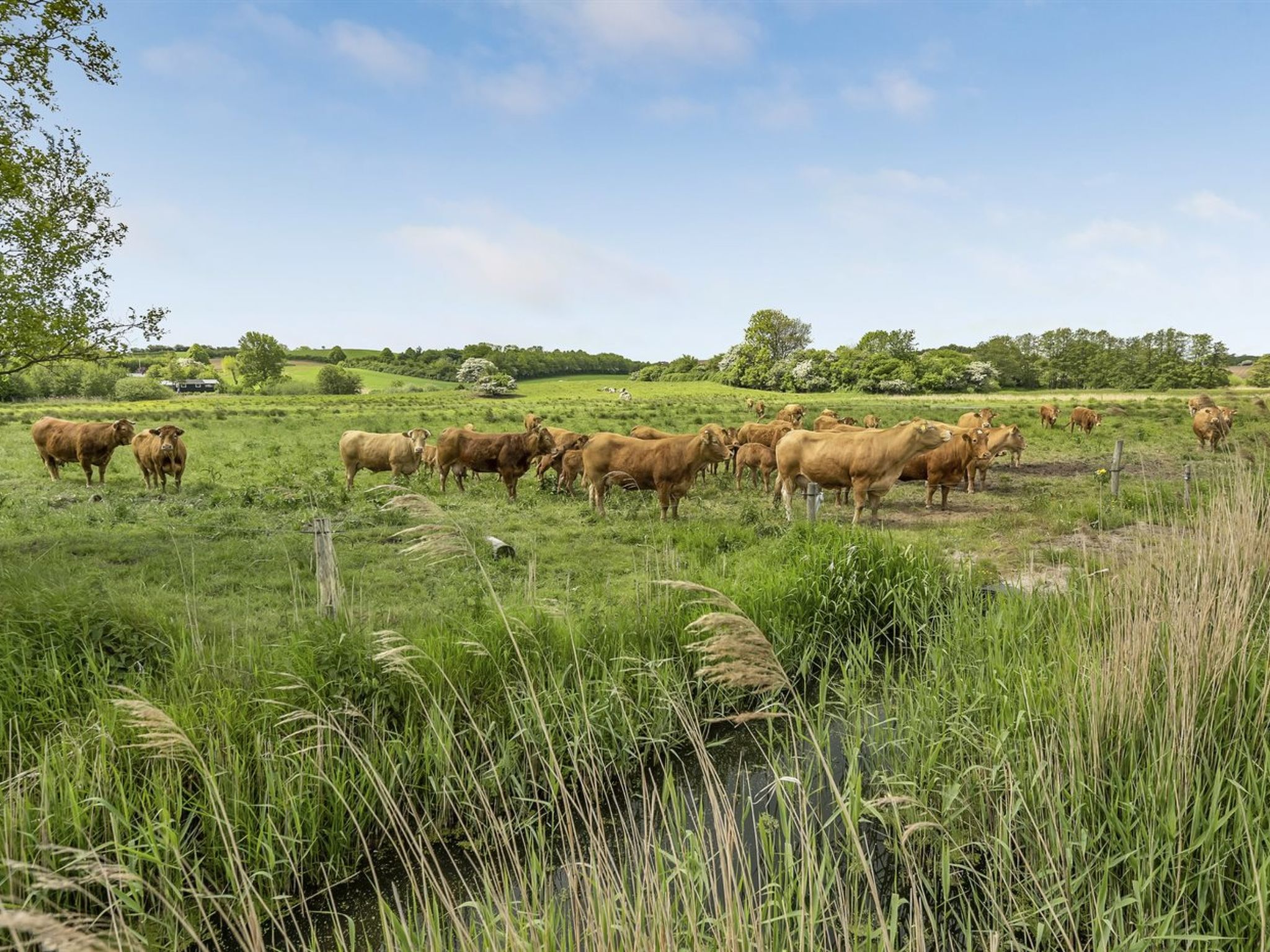 "Sigbritt" - 100m from the sea - Buiten