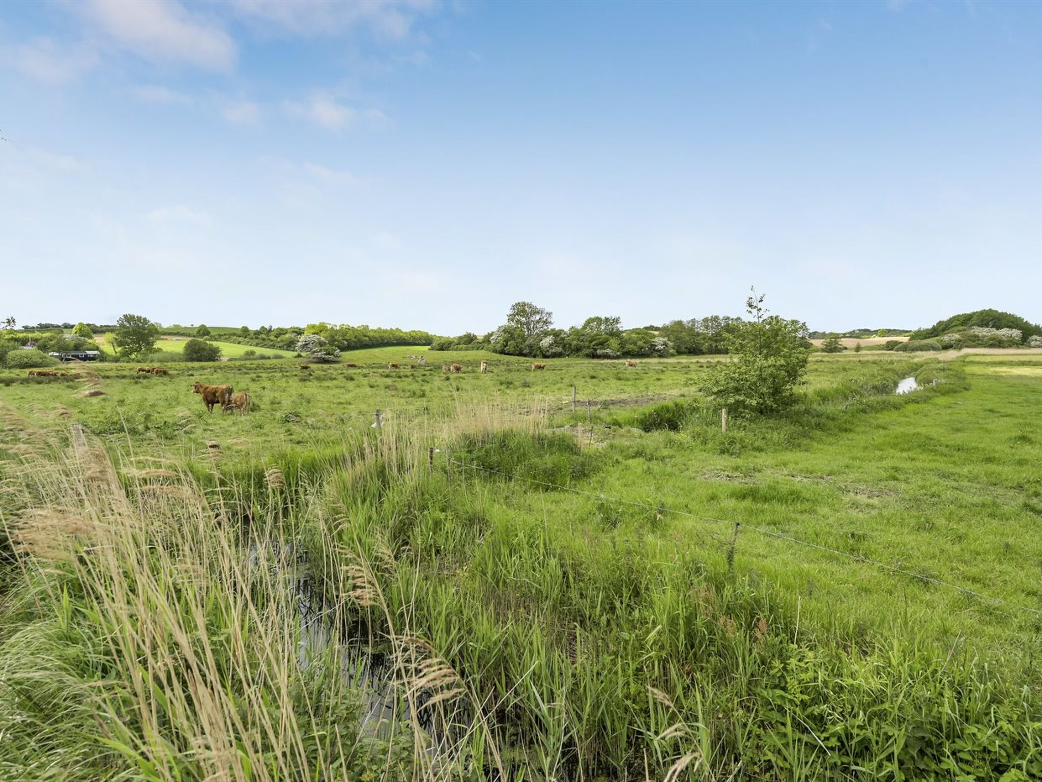 "Sigbritt" - 100m from the sea - Buiten