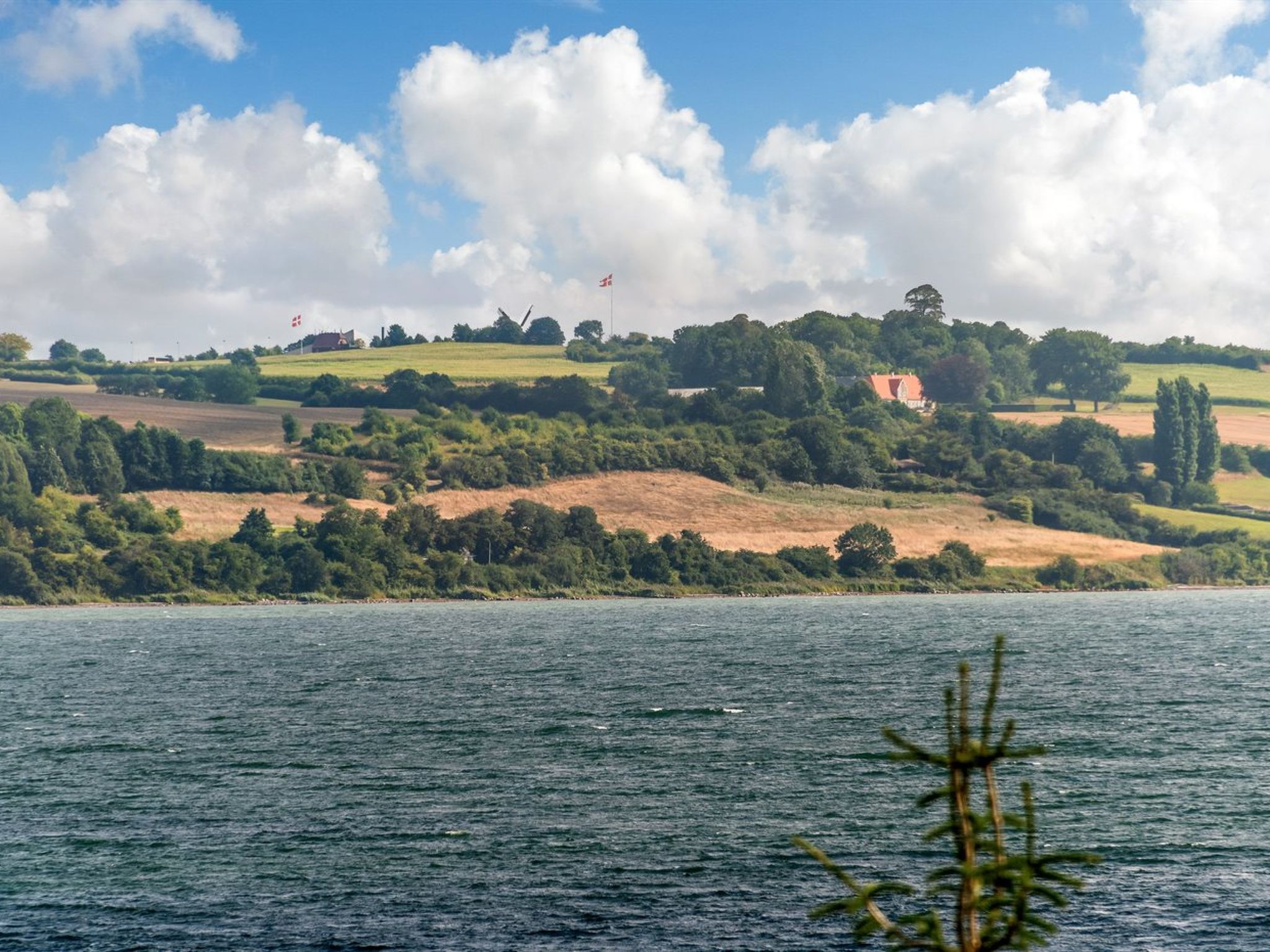 "Beowulf" - 200m from the sea