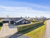 Vrijstaande woning Annegret met sauna en whirlpool op 200 meter van de zee - thumbnail 1