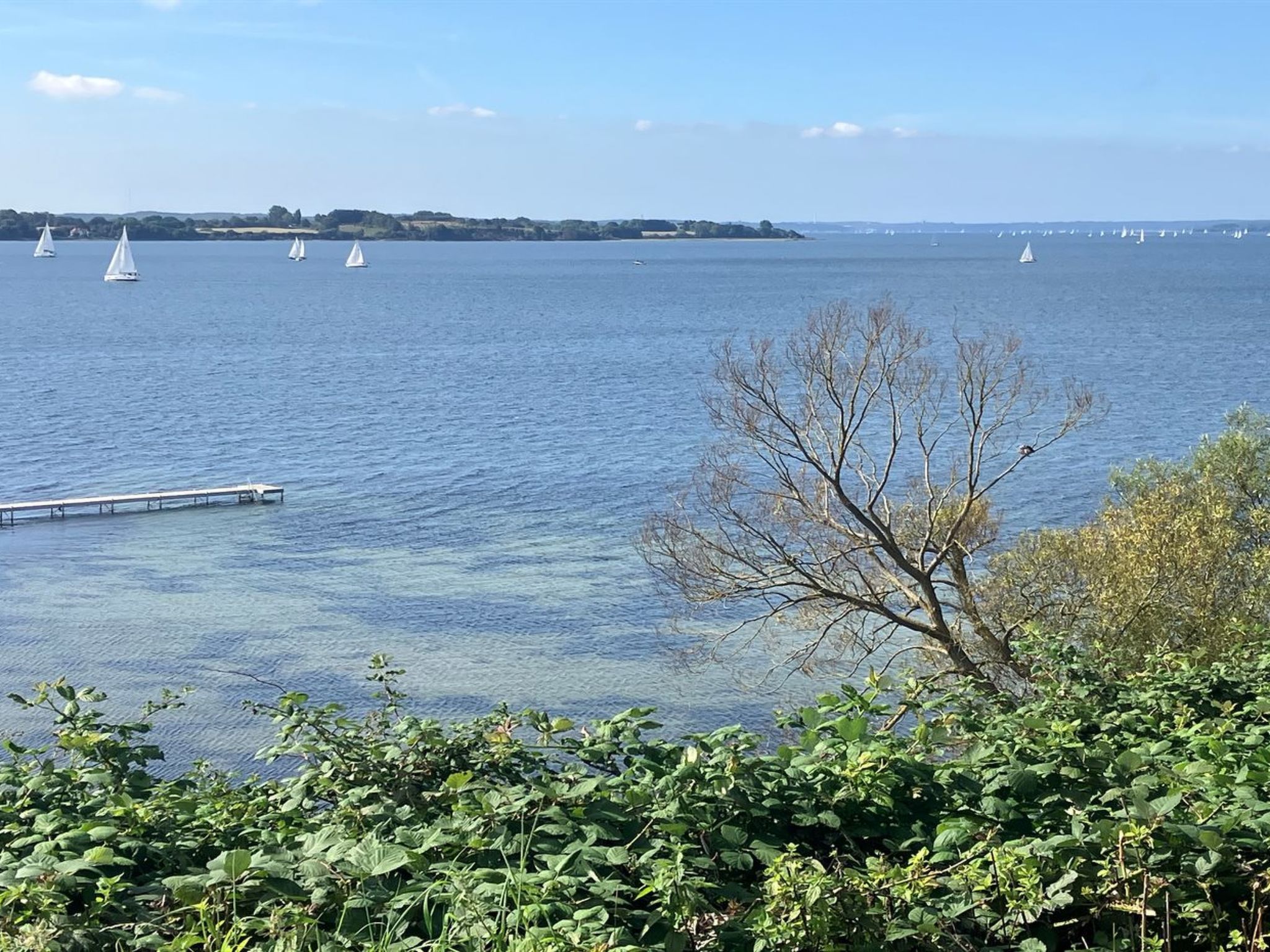 "Erin" - 200m from the sea-Buiten