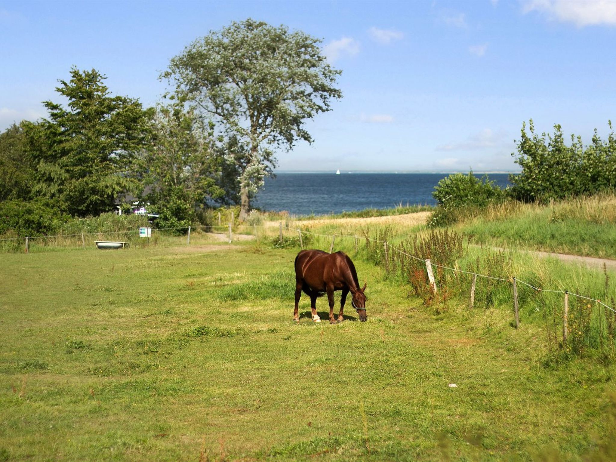 "Ady" - 150m from the sea - Buiten