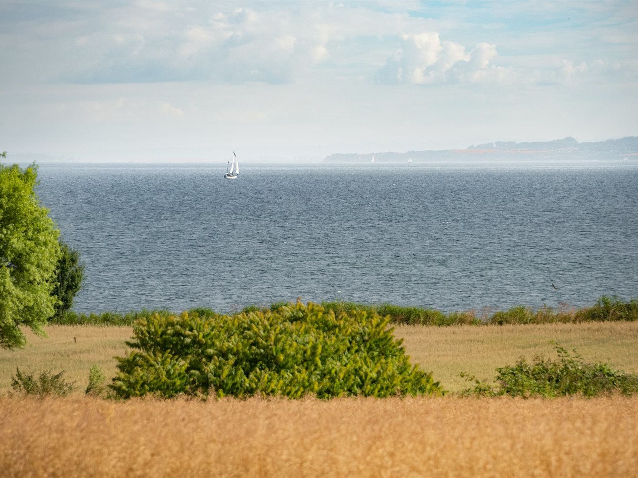 "Edithe" - 250m from the sea - Buiten