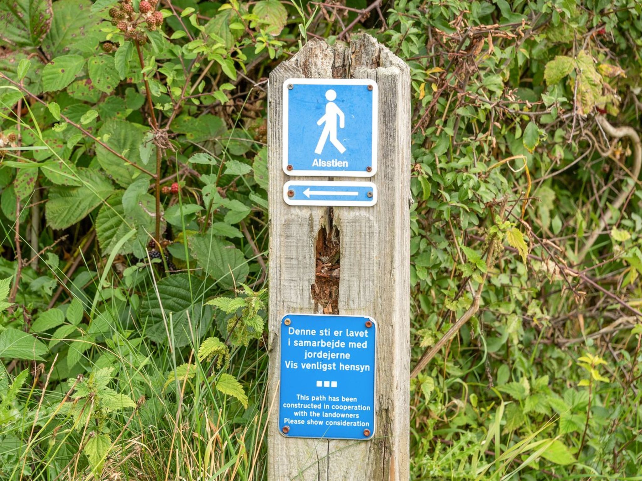 "Gudmunde" - 200m from the sea-Buiten