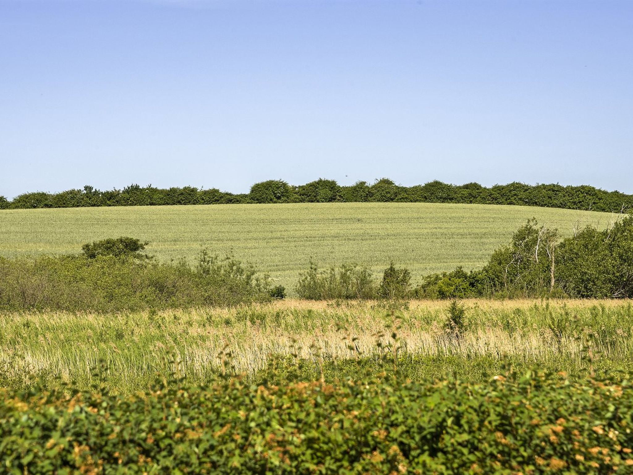 "Kierstine" - 100m from the sea - Buiten