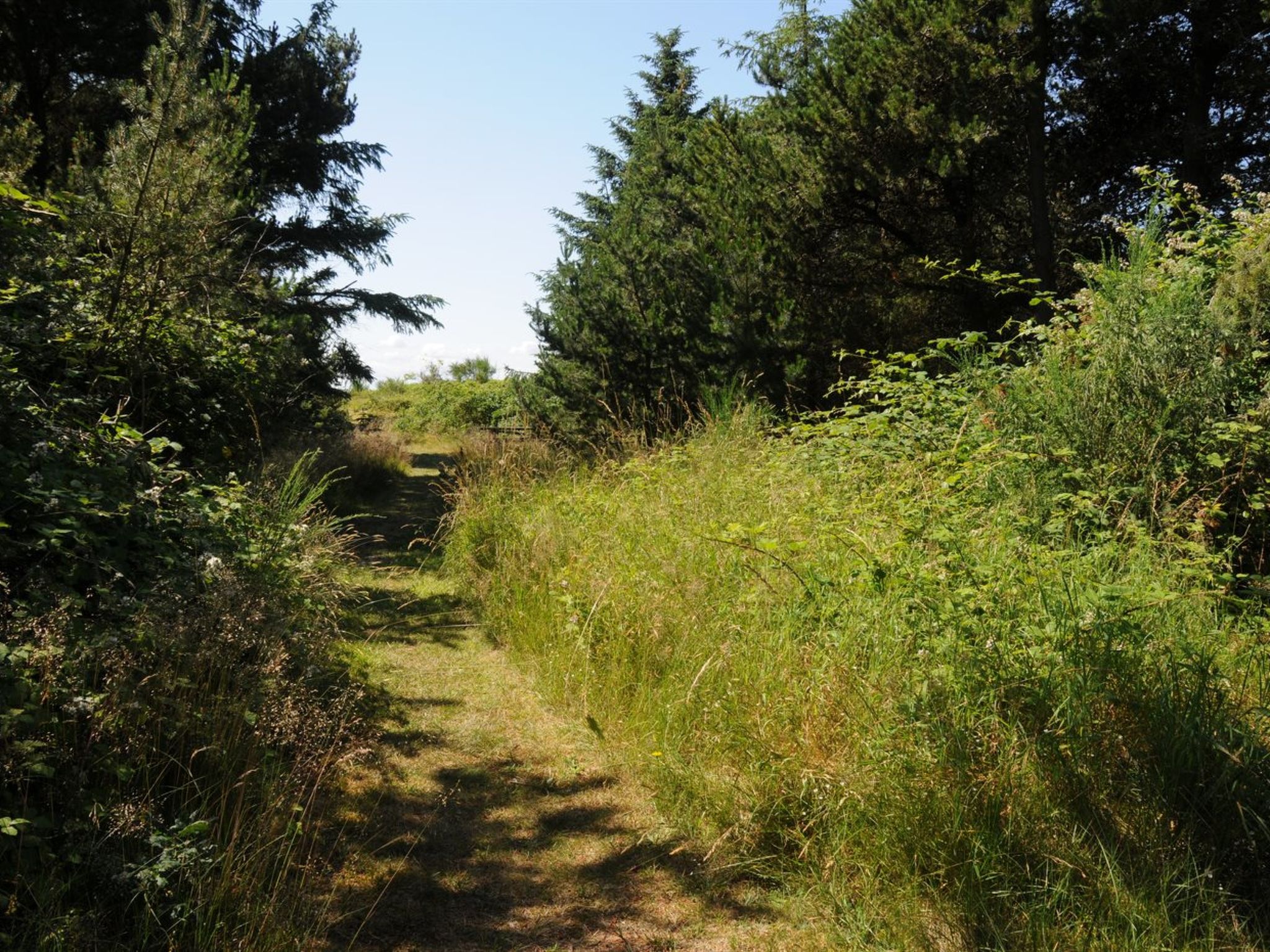 "Kalv" - 75m from the sea - Buiten