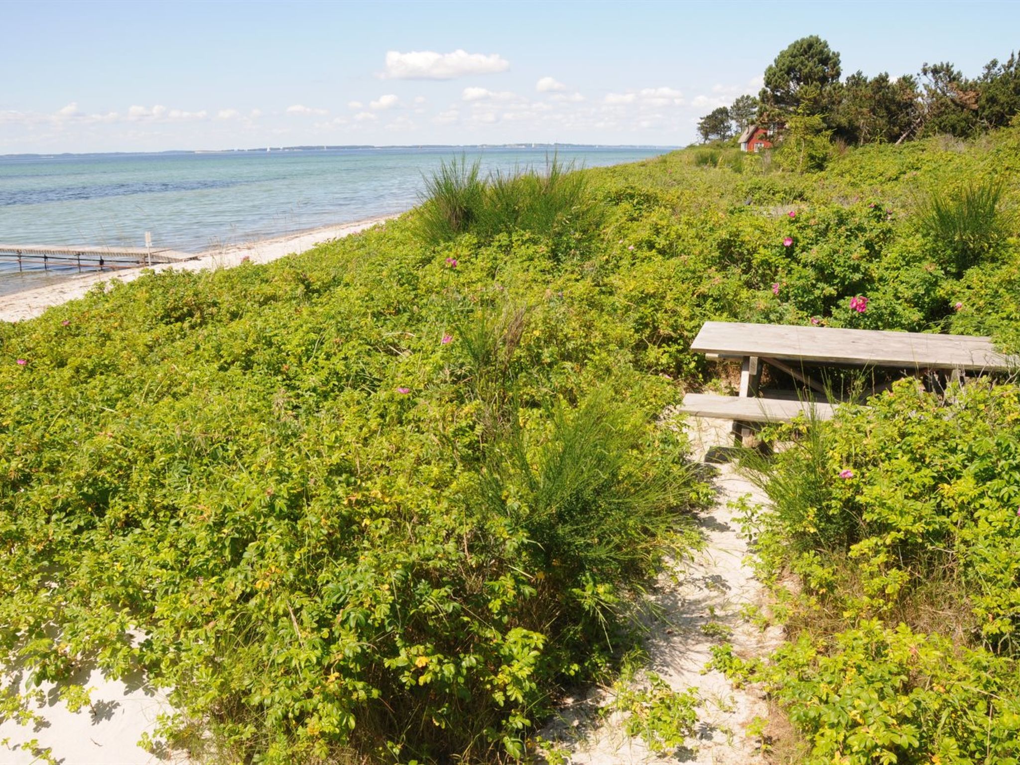 "Kalv" - 75m from the sea - Buiten