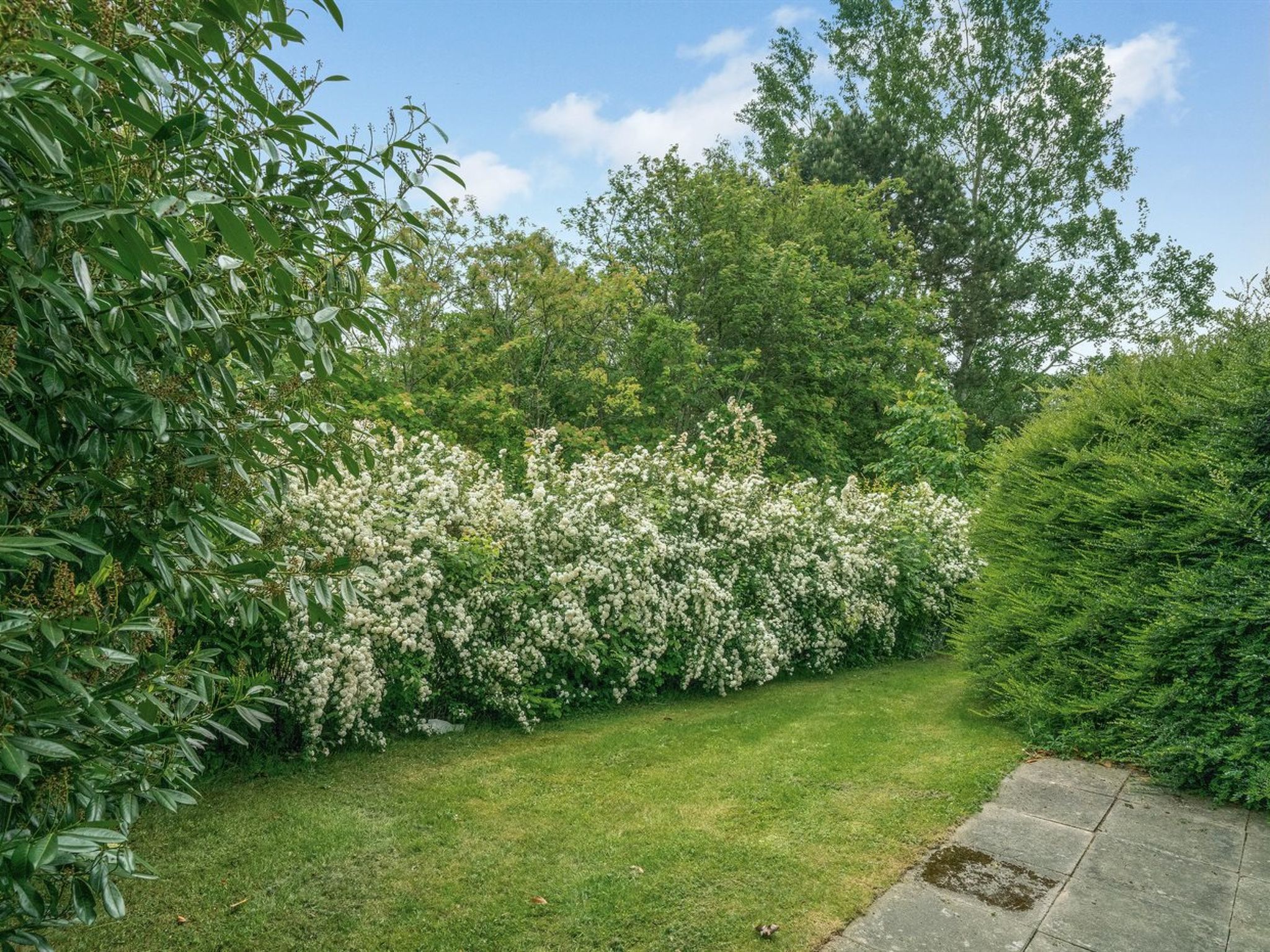 "Thorwer" - 250m from the sea - Buiten