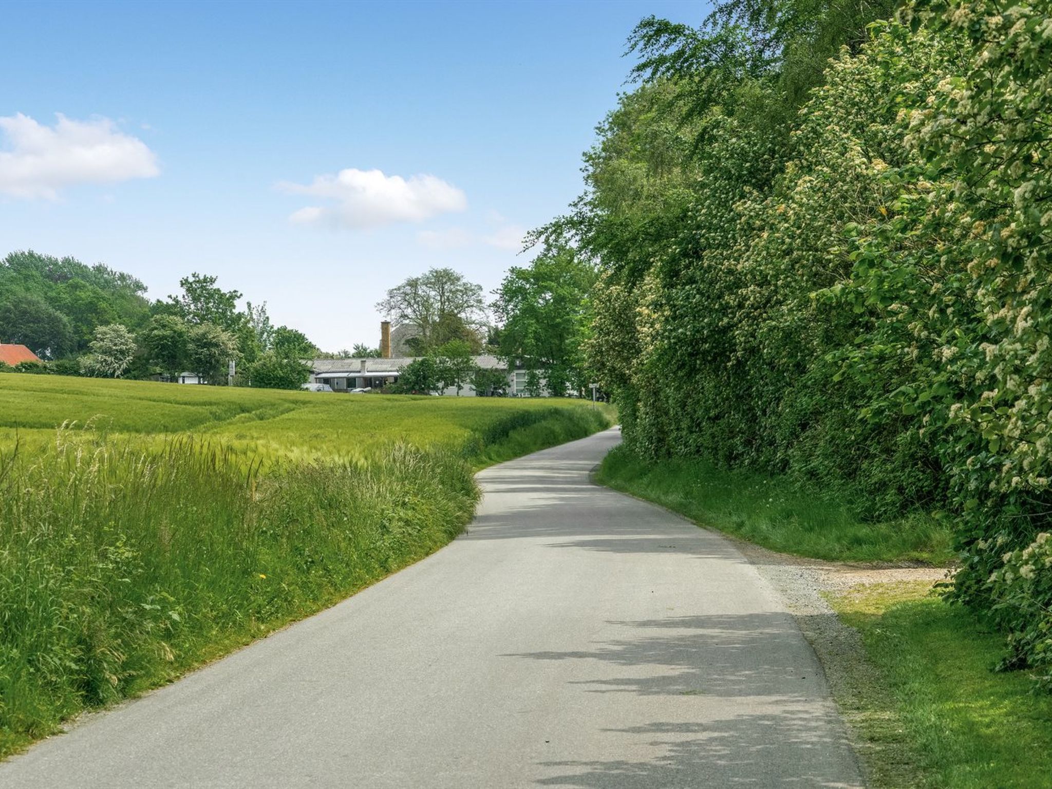 "Thorwer" - 250m from the sea - Buiten