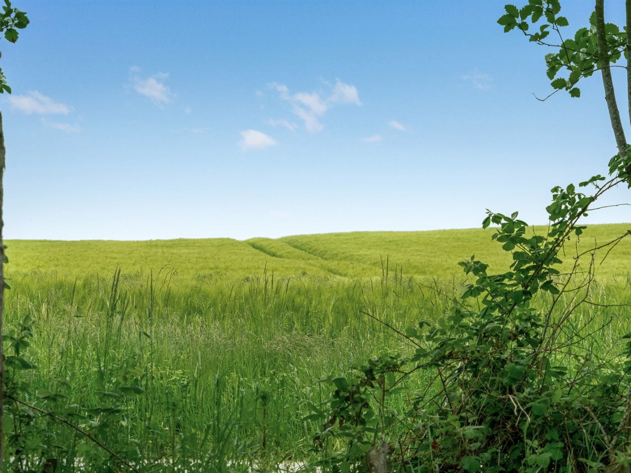 "Thorwer" - 250m from the sea - Buiten