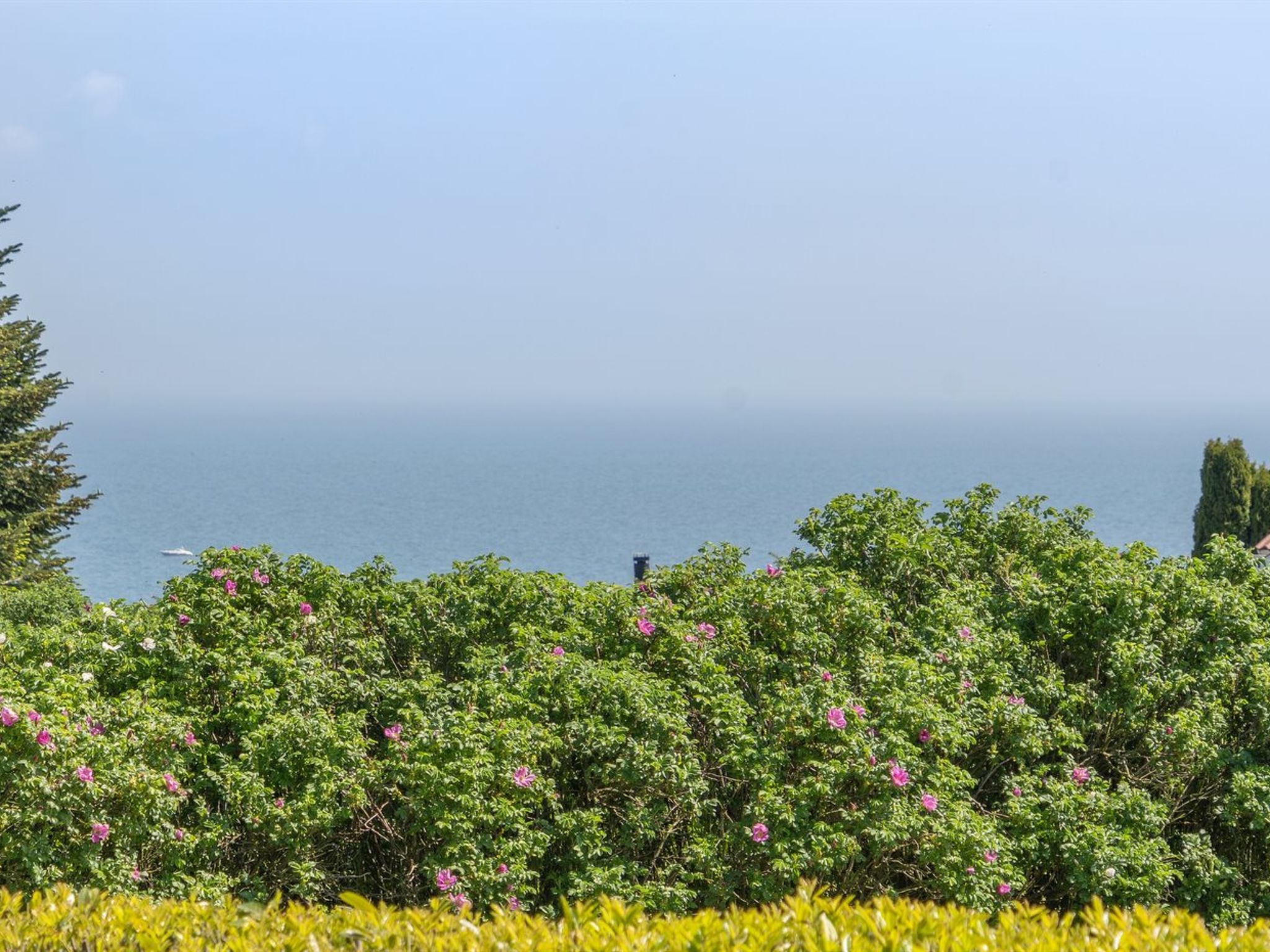 "Jarmericus" - 300m from the sea - Draußen