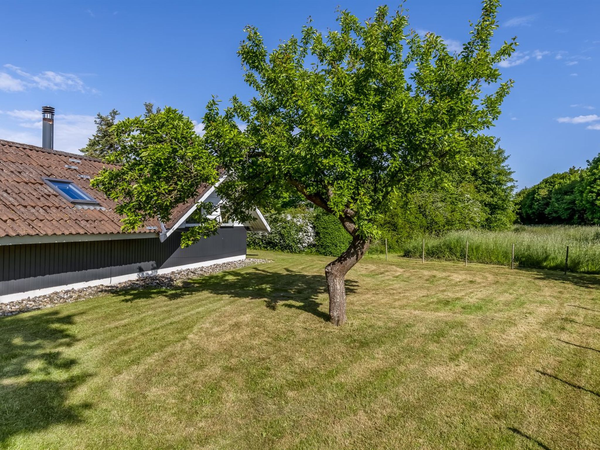 "Anneke" - 500m from the sea - Buiten