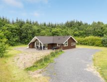 Arnika: Modern vakantiehuis met sauna in Toftlund, 28 km van de Noordzee - thumbnail 4