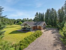 Vrijstaande woning op 877 m² grond bij Toftlund, 25 km van zee - thumbnail 1